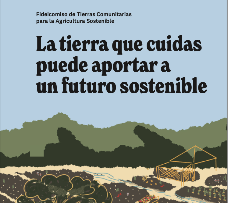 Explorando alternativas para proteger tierras: una herramienta para titulares de tierra