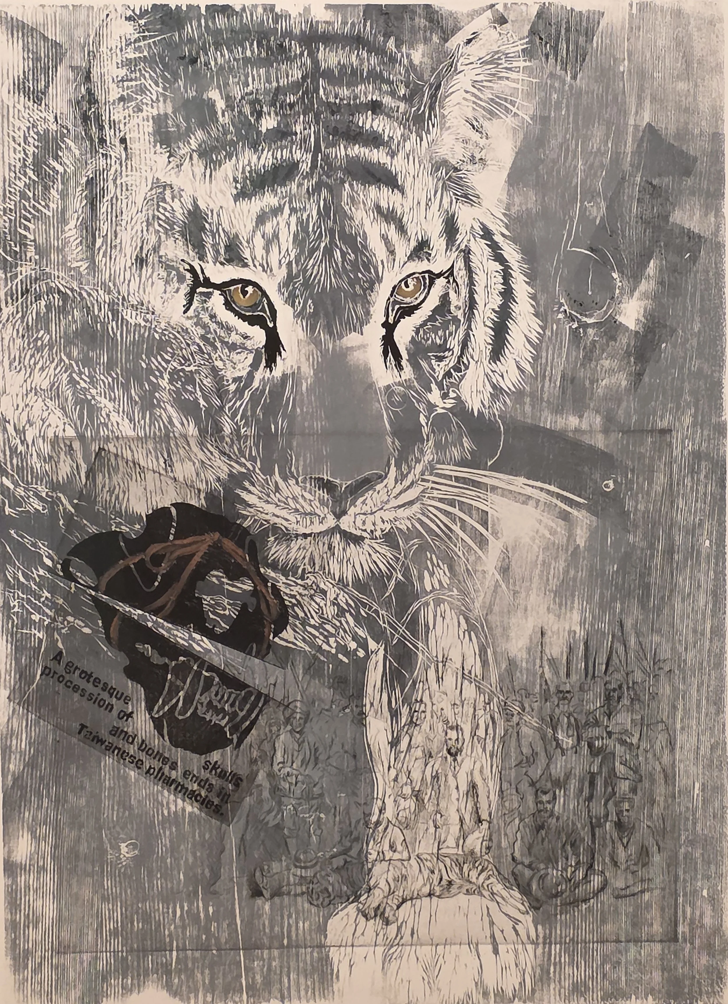 Tiger Bones by Willow Wright