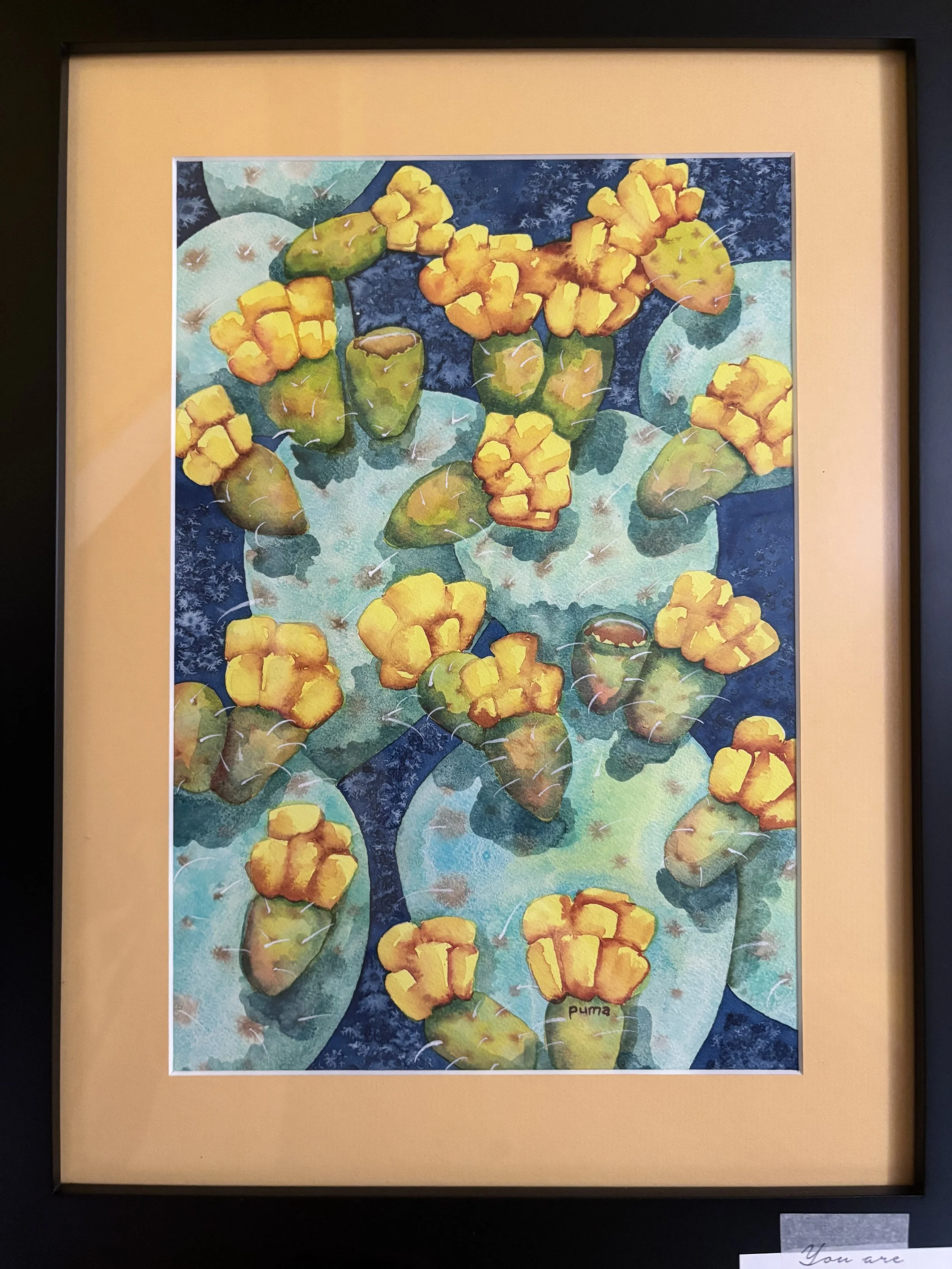 Prickly Pear in Bloom by Puma Love