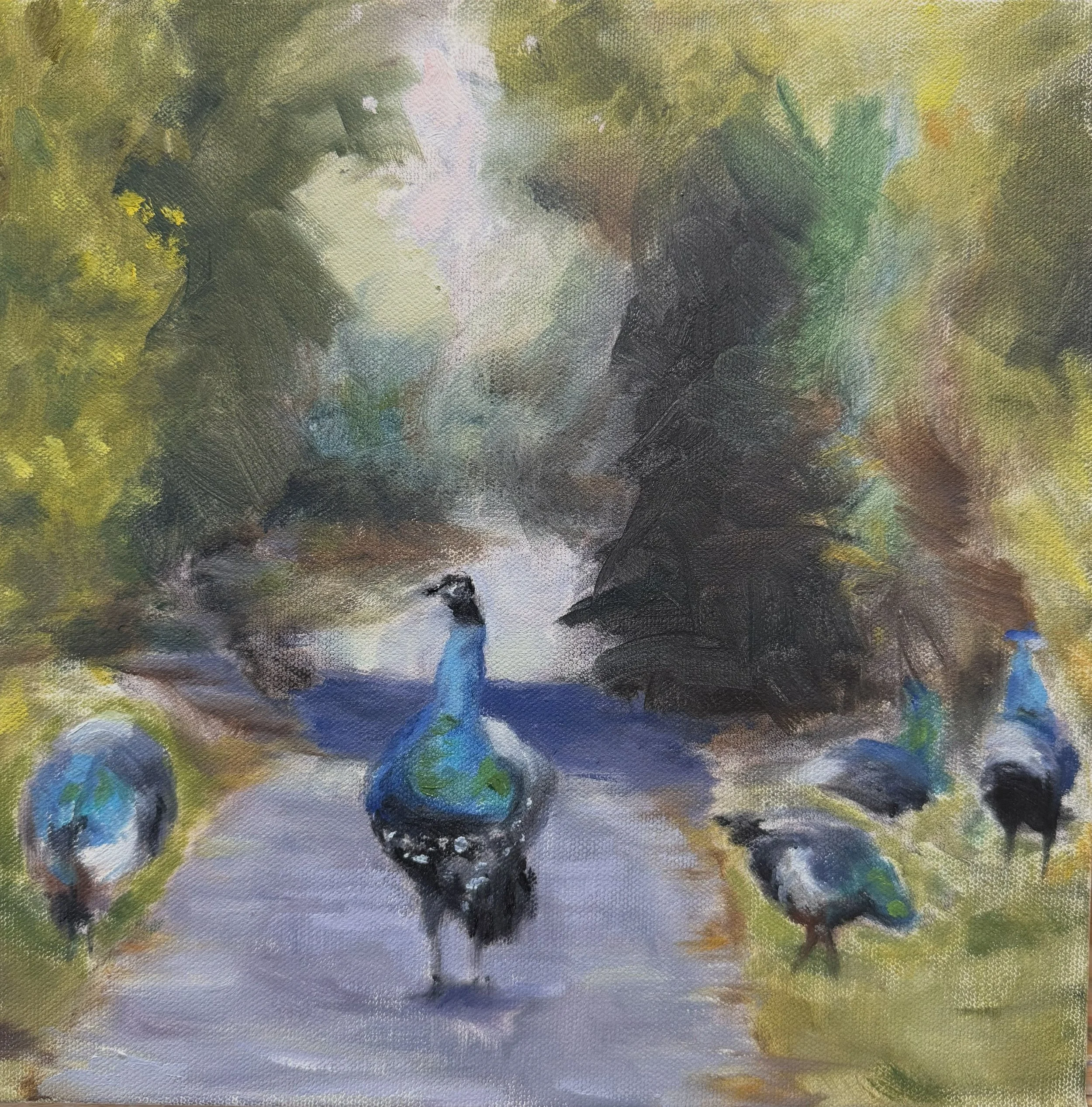 Peacock Strut by Paula Roy