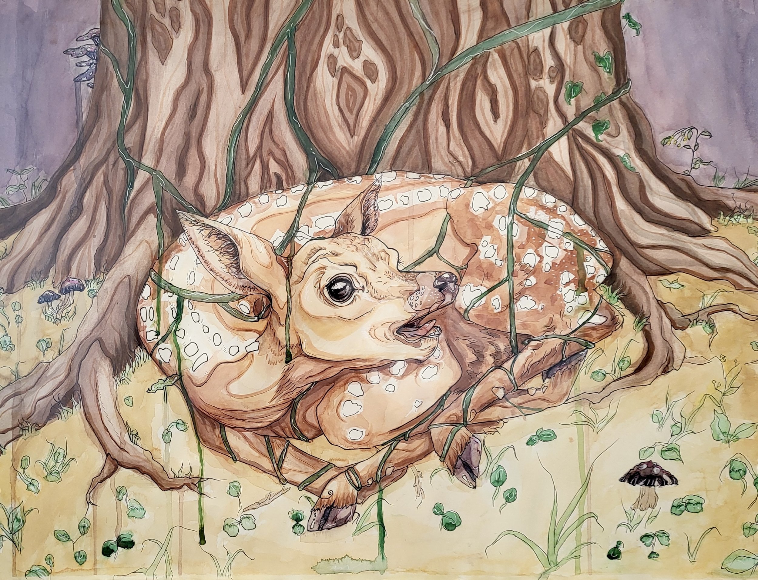 Tangled by Gillian Probert