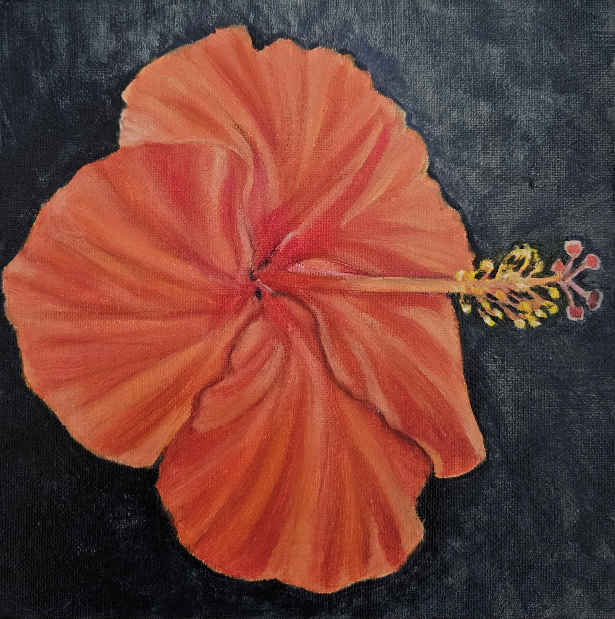 Happy Hibiscus by Deserie Valloreo
