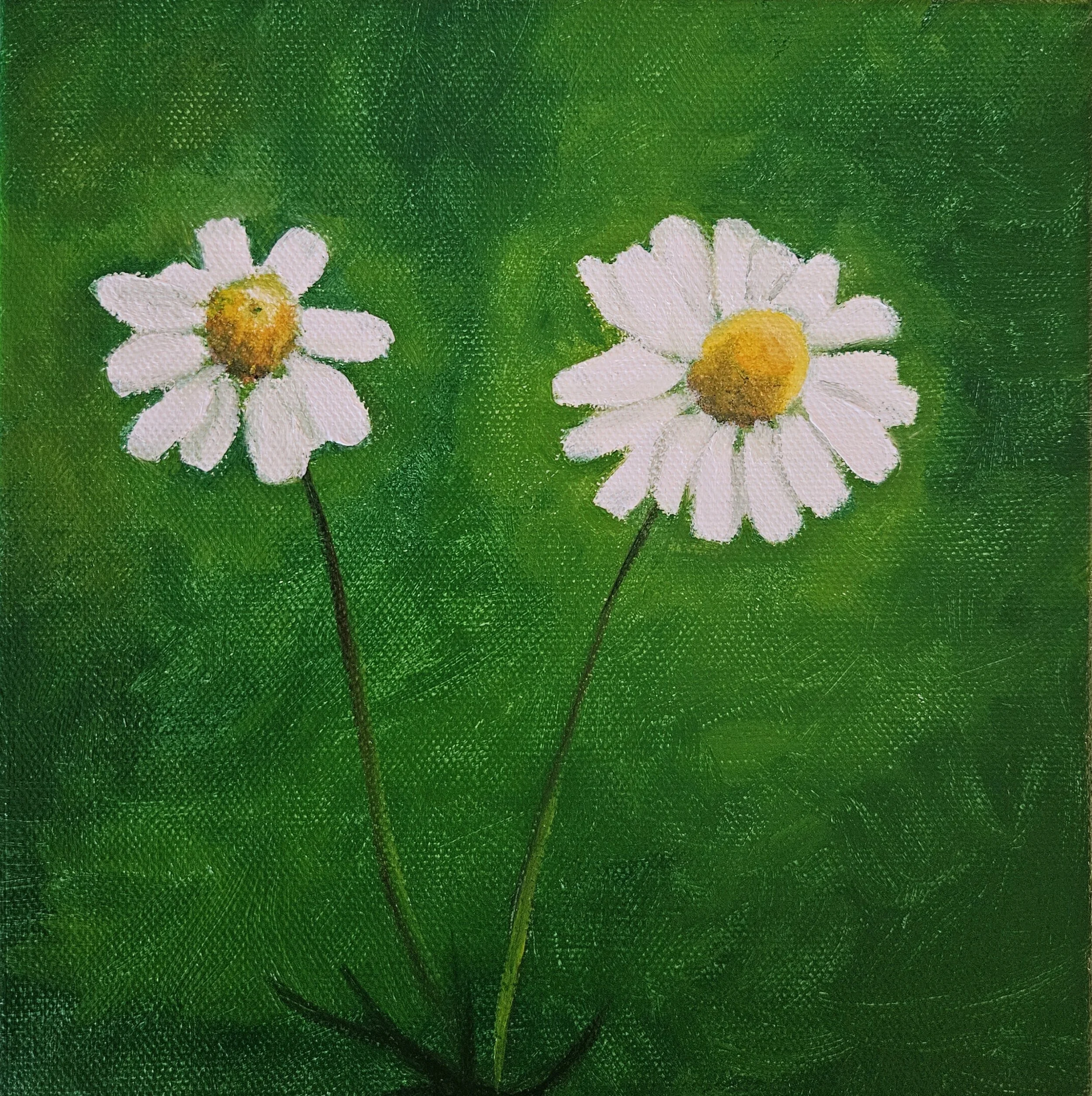 Chamomile by Deserie Valloreo