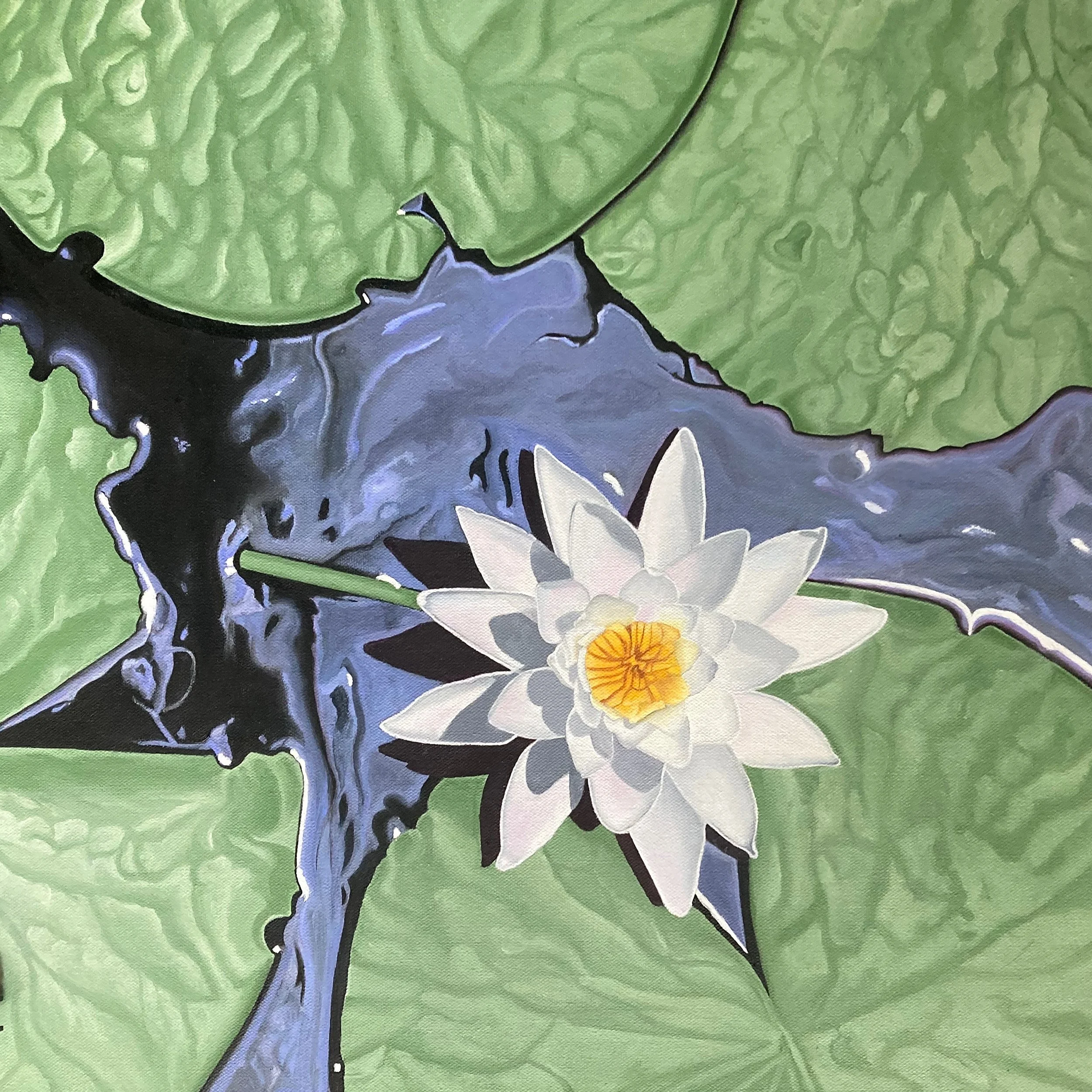 White Lily in Pond by Victoria Zuchelli