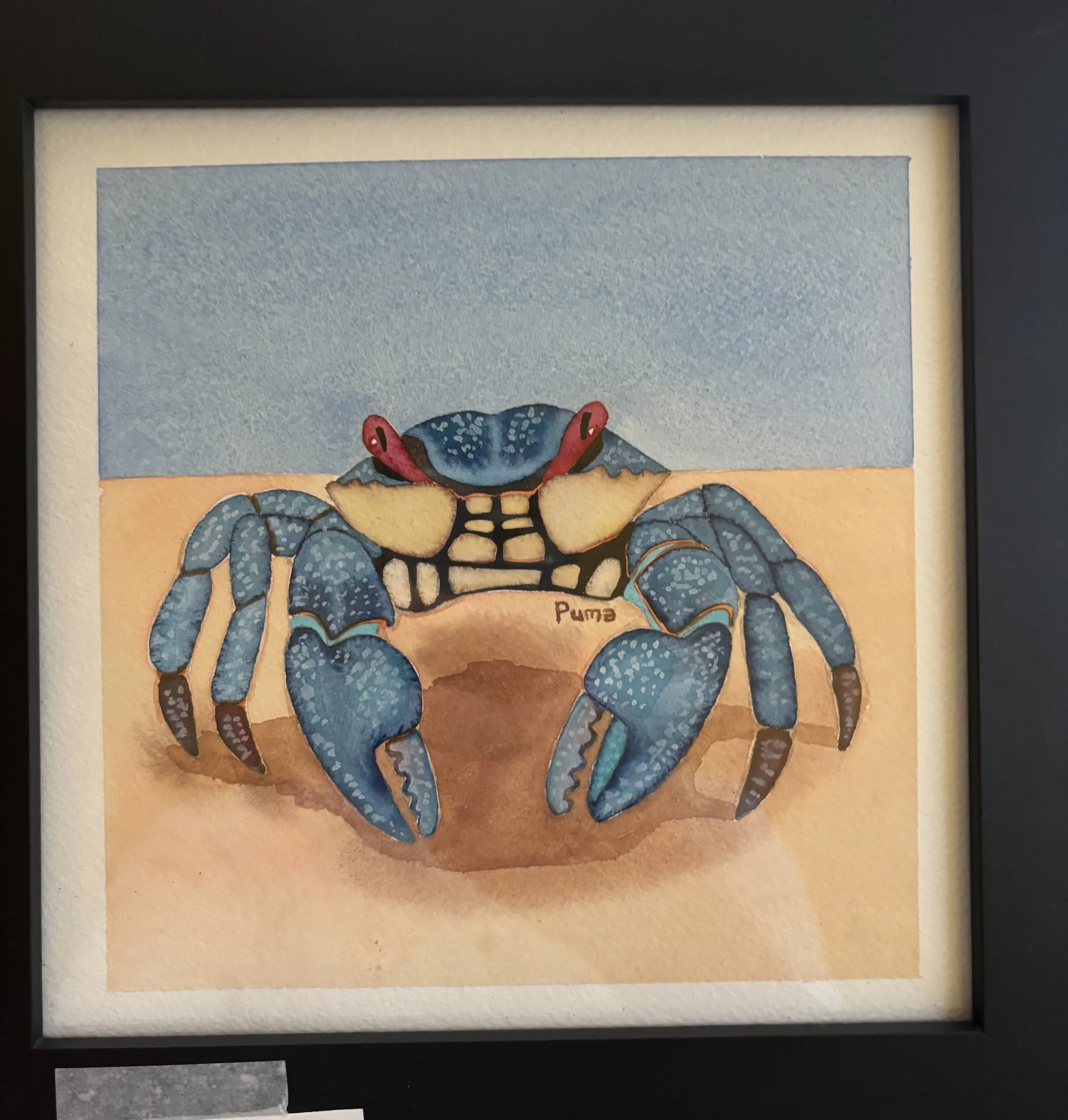 Blue Crab by Puma Love