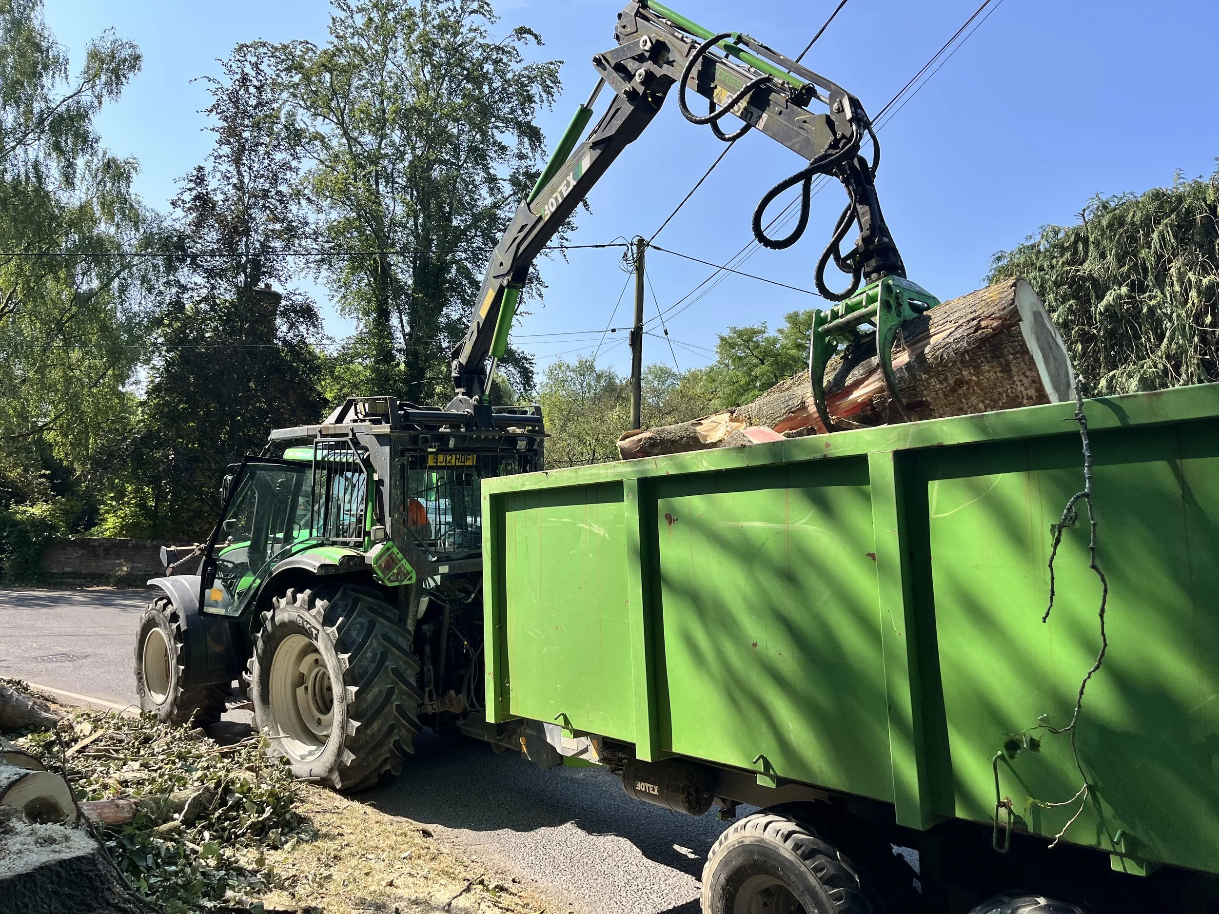 Large Poplar Tree Removal in Kings Worthy, Winchester