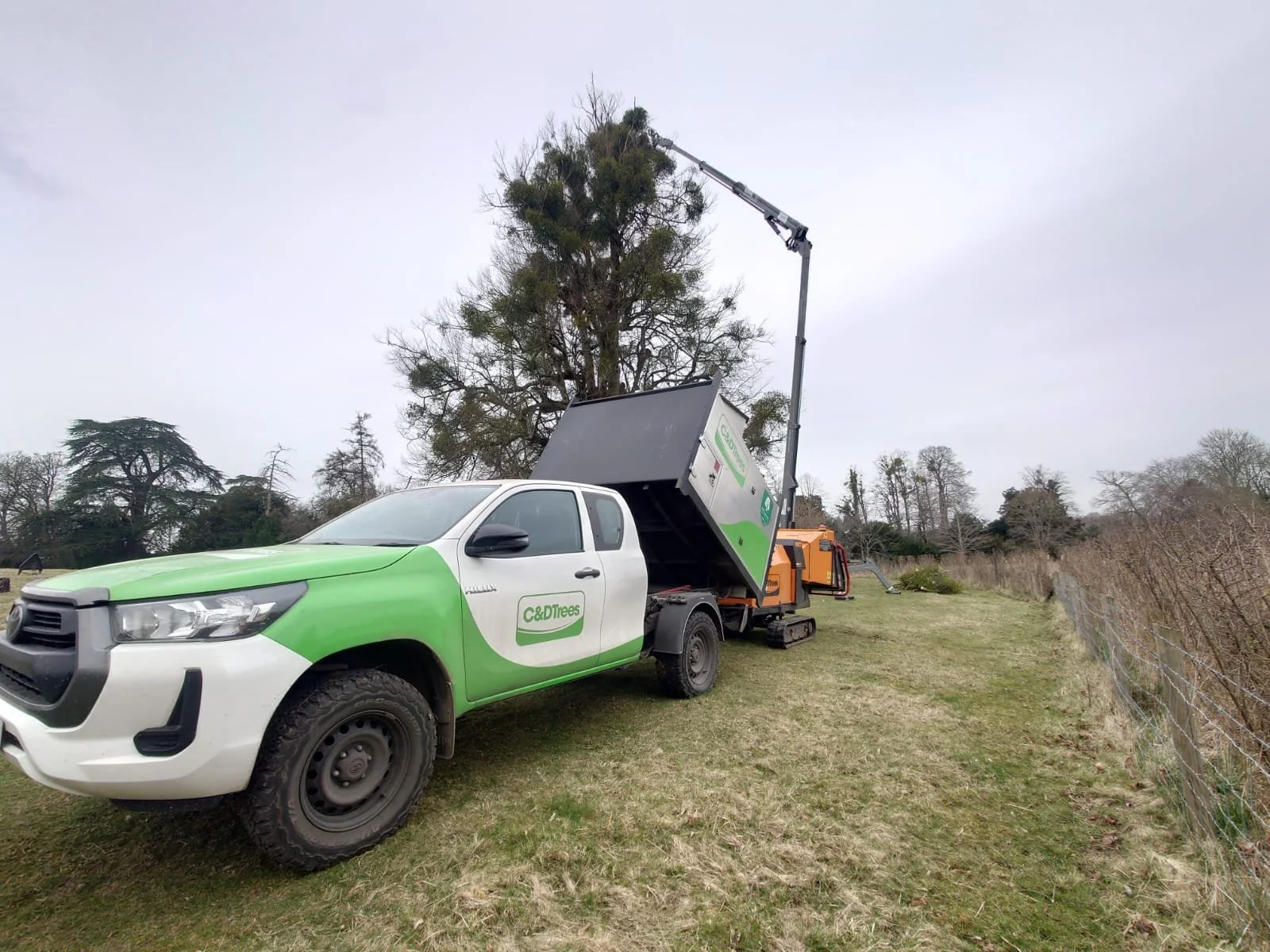 Storm-Damaged Trees: Your Step-by-Step Guide to Recovery