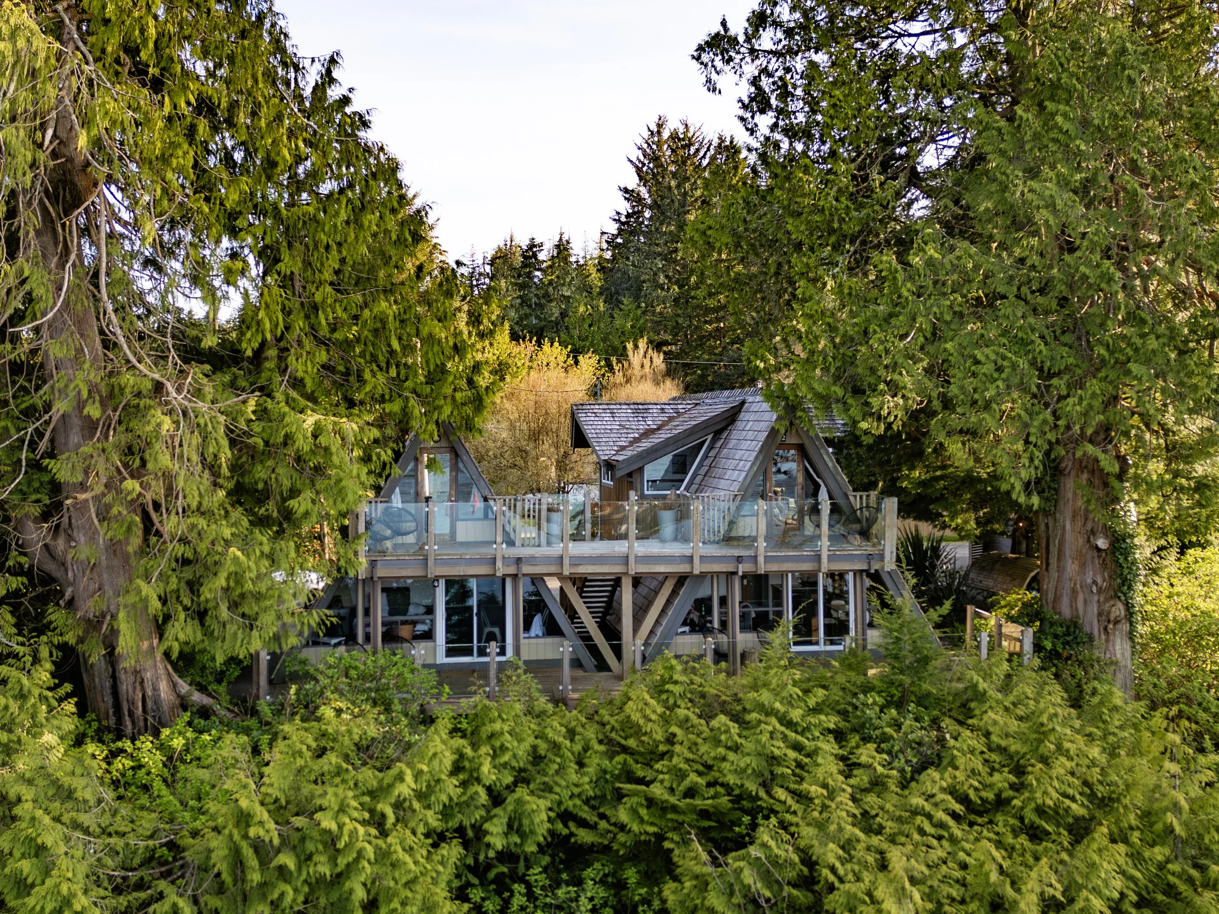 A treehouse nestled among tall, lush green trees with a deck and large windows, in a dense wooded area.