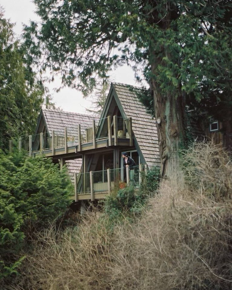 AFRAME LOVE 🤍

June still has some availability - check us out online and book your stay to wake up here 🤍

📸 @jasmine.lorimer with the beauty 🎞️ capture 🤍

#aframe #aframelove #cabinlove #cabinporn #cabincronicles #cabinfolk