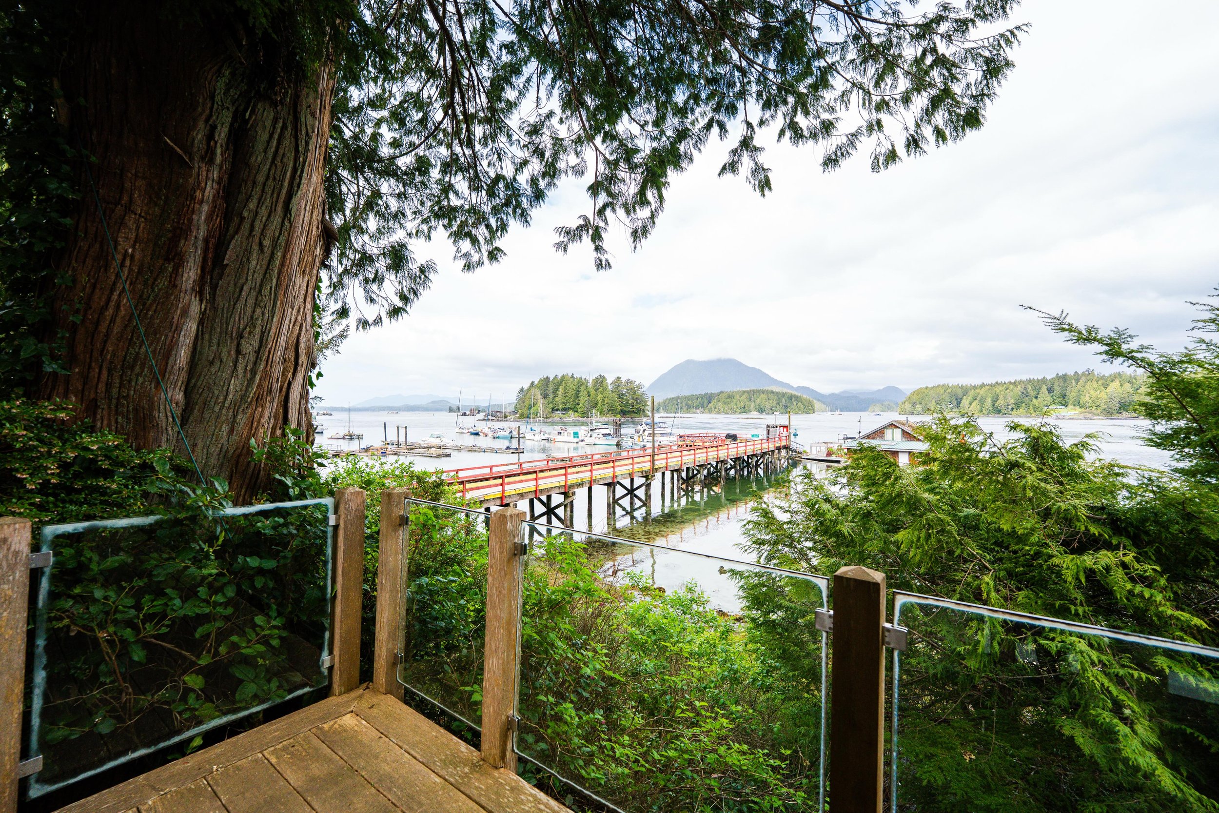 Gray + Greeny days ☁️🌲

📸 @georgieburymedia