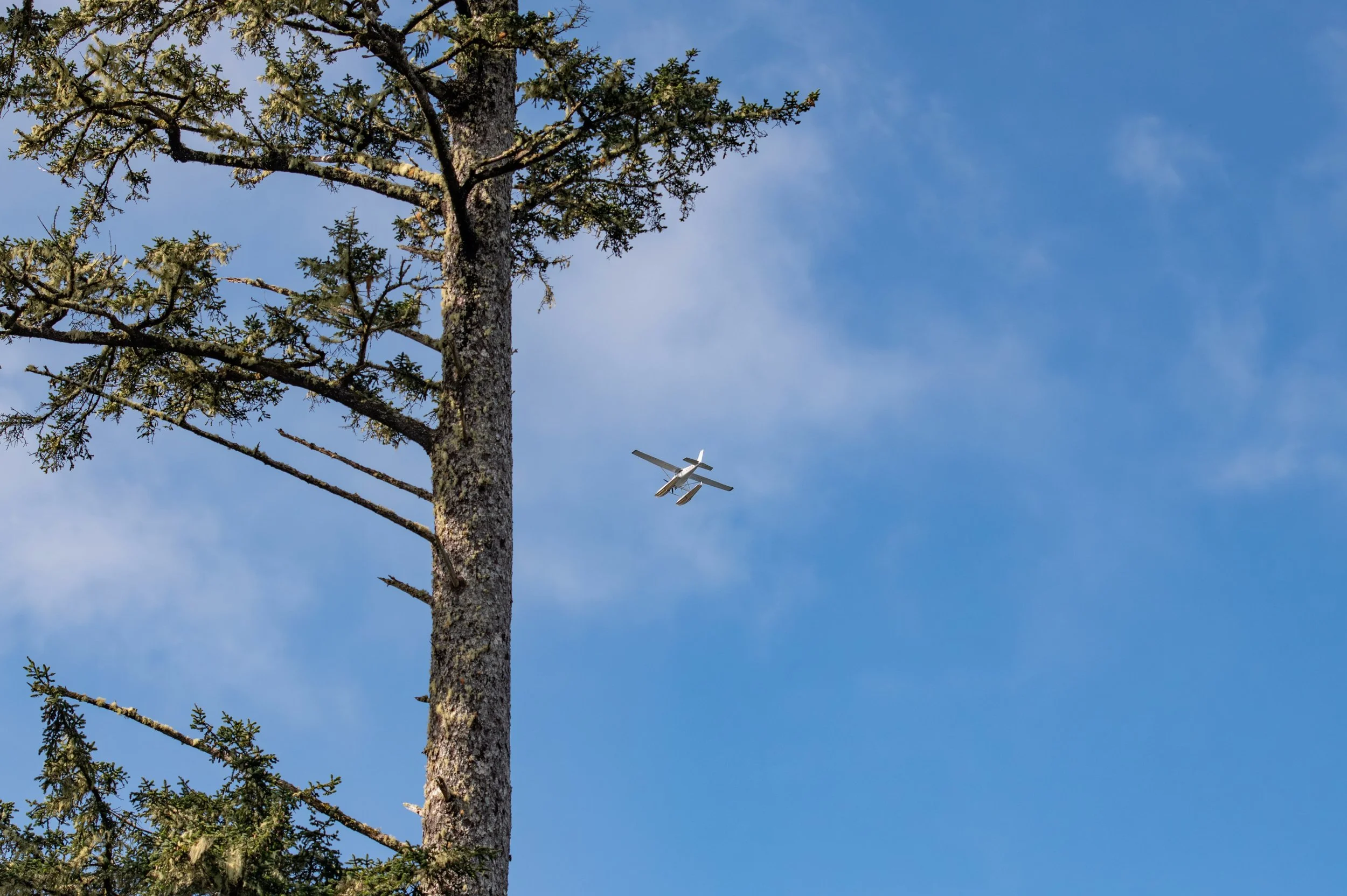I spy with my little eye&hellip;. Guests flying in via @harbourair right next door ✈️