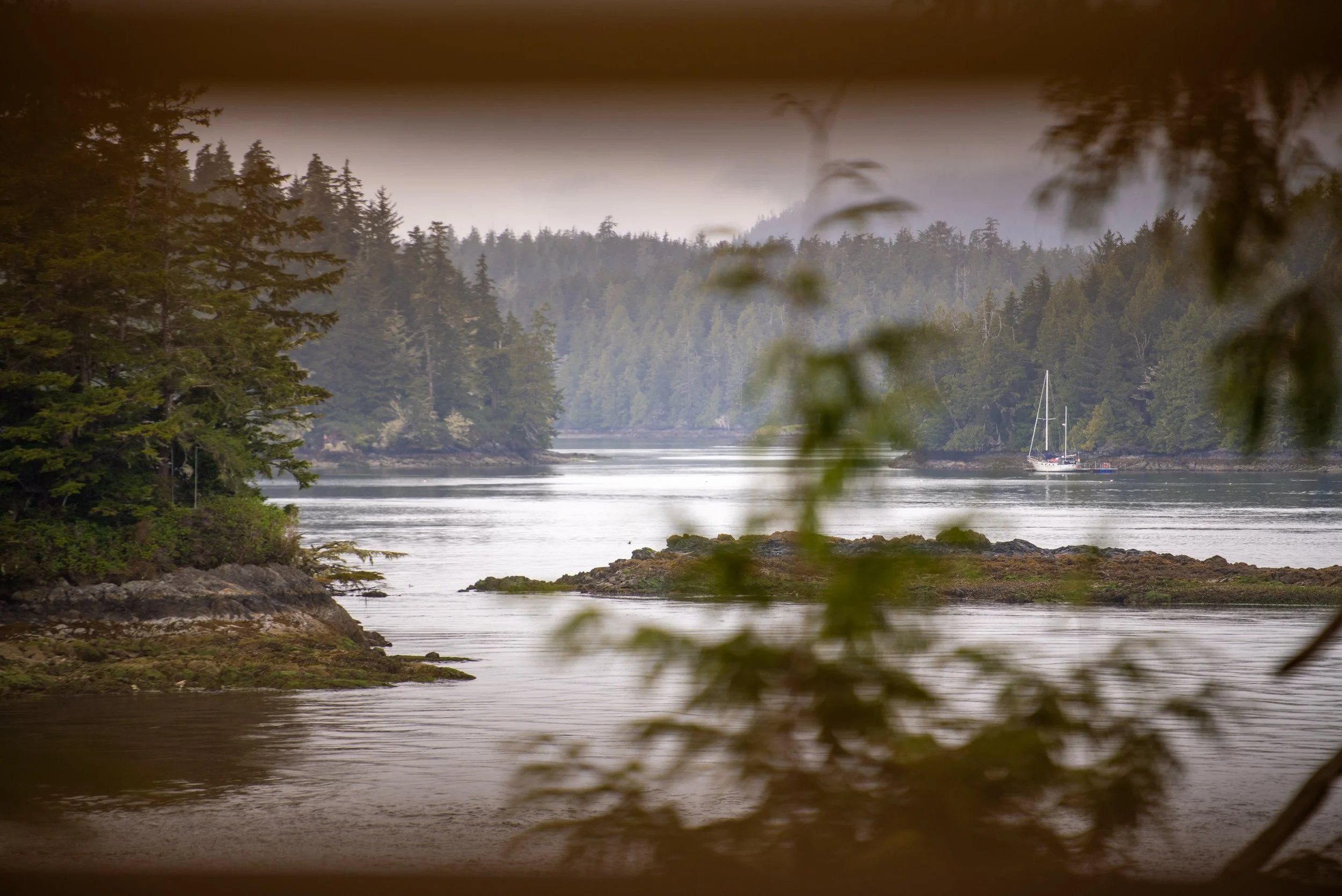 The seasons are shifting&hellip;

Late fall and winter are the best times to visit Tofino for quiet, cozy stays with lower prices and less lines. 

Book yourself your getaway to reconnect ✨