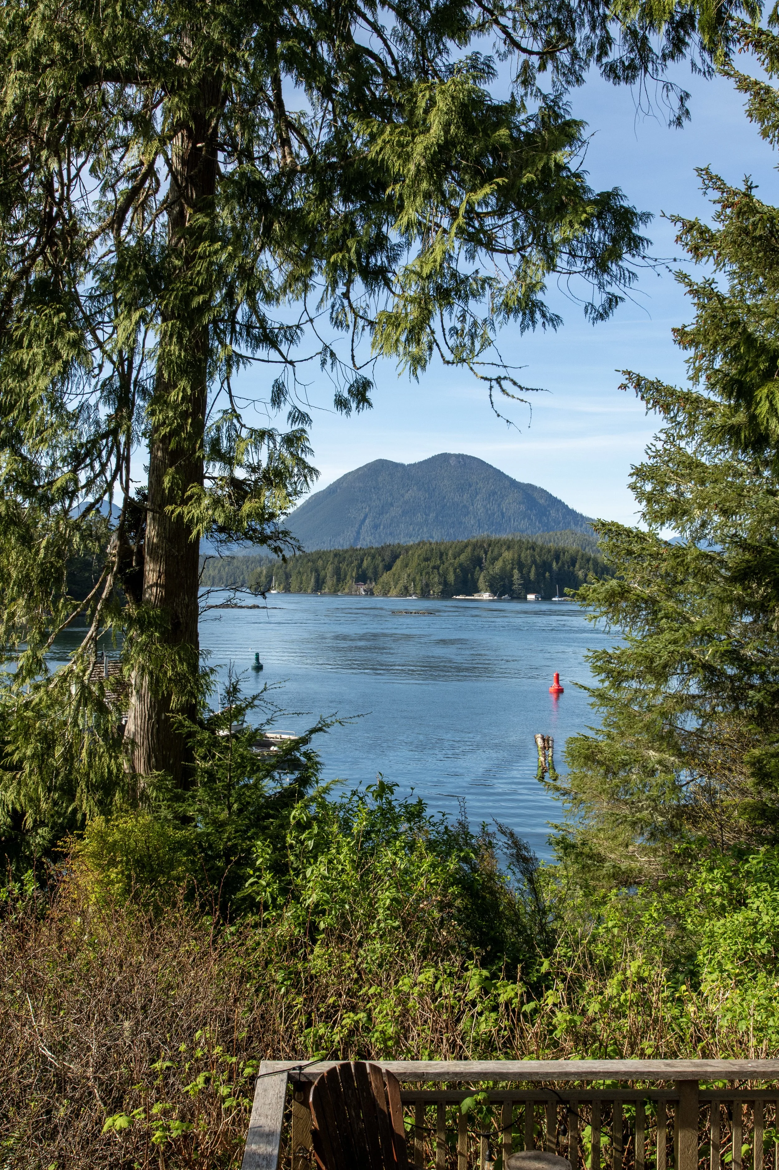 Lake view with mountains, trees, and blue sky in the background, viewed from a wooden deck with chairs and greenery in the foreground.