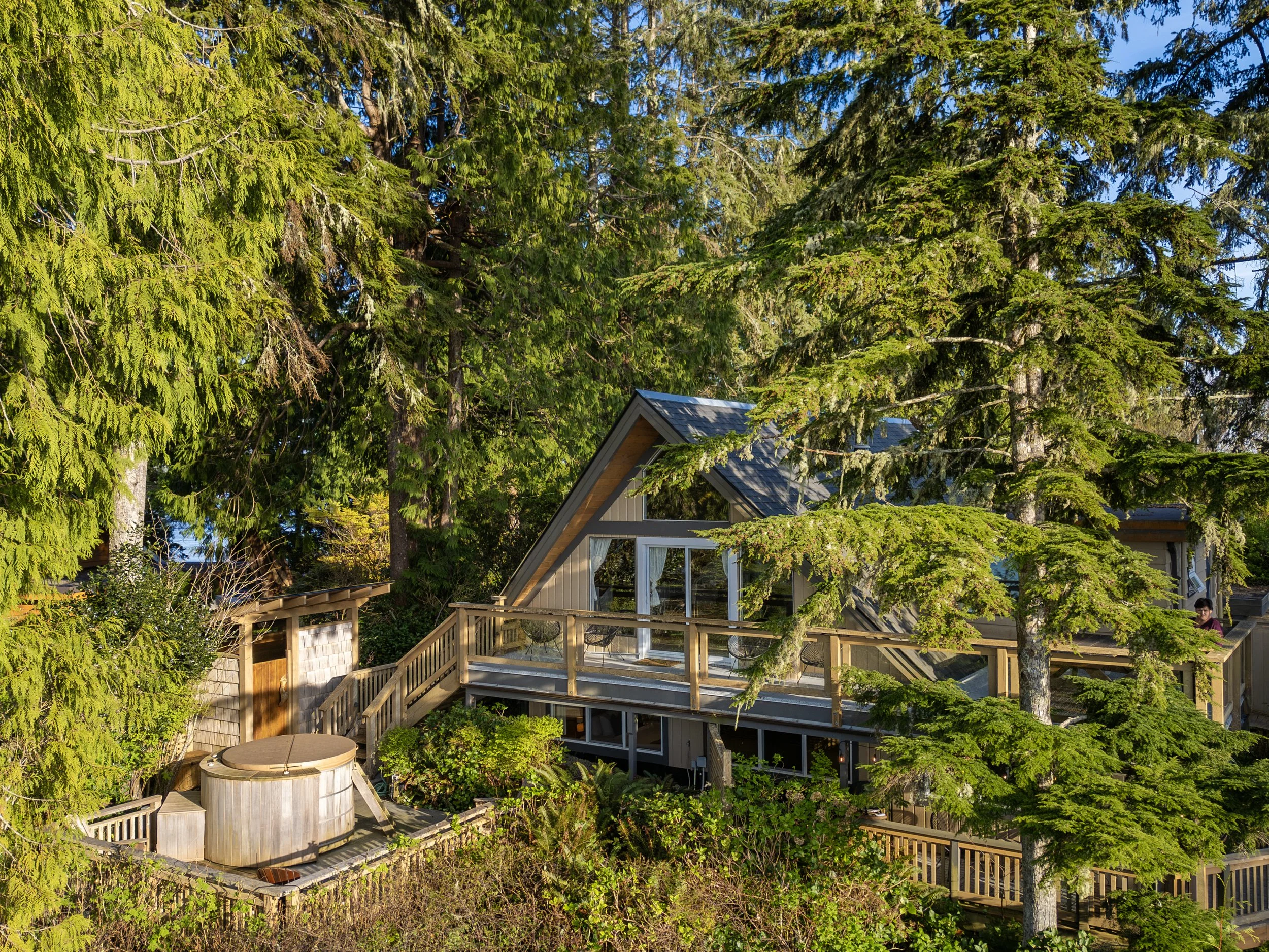 A house with large windows surrounded by tall pine trees and a wooden deck in a forest setting.