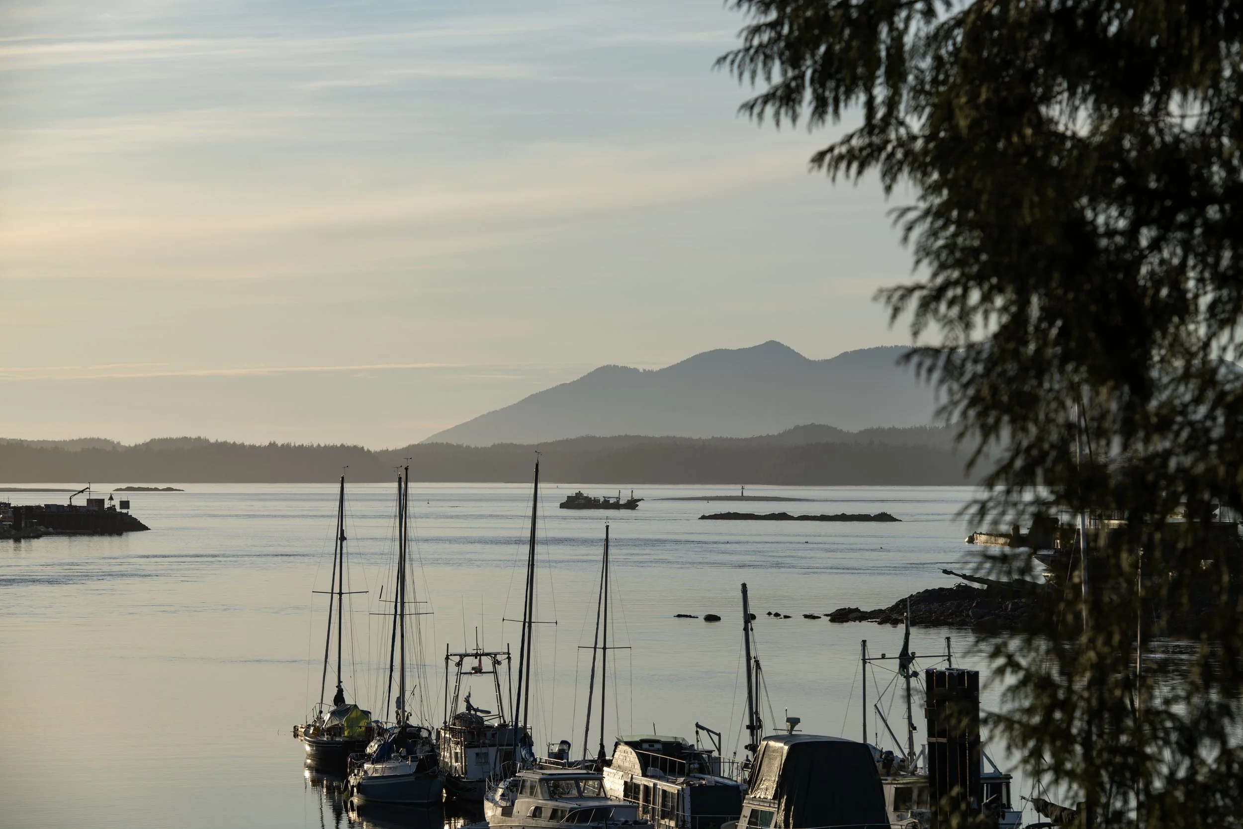 A serene harbor scene with sailboats docked along the shoreline, calm water reflecting the boats, distant mountains under a cloudy sky, and trees partially visible on the right edge of the image.