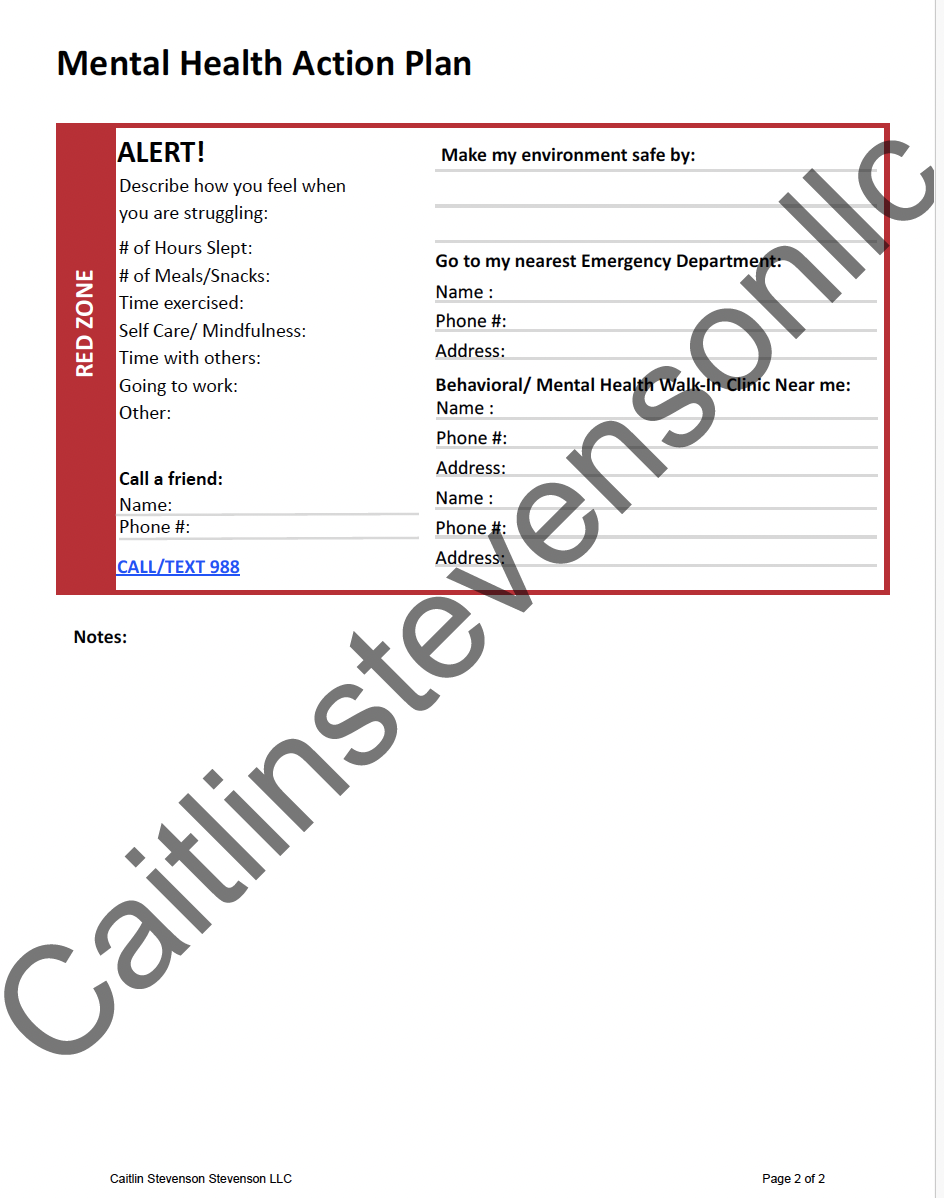 page two vertical action plan.png