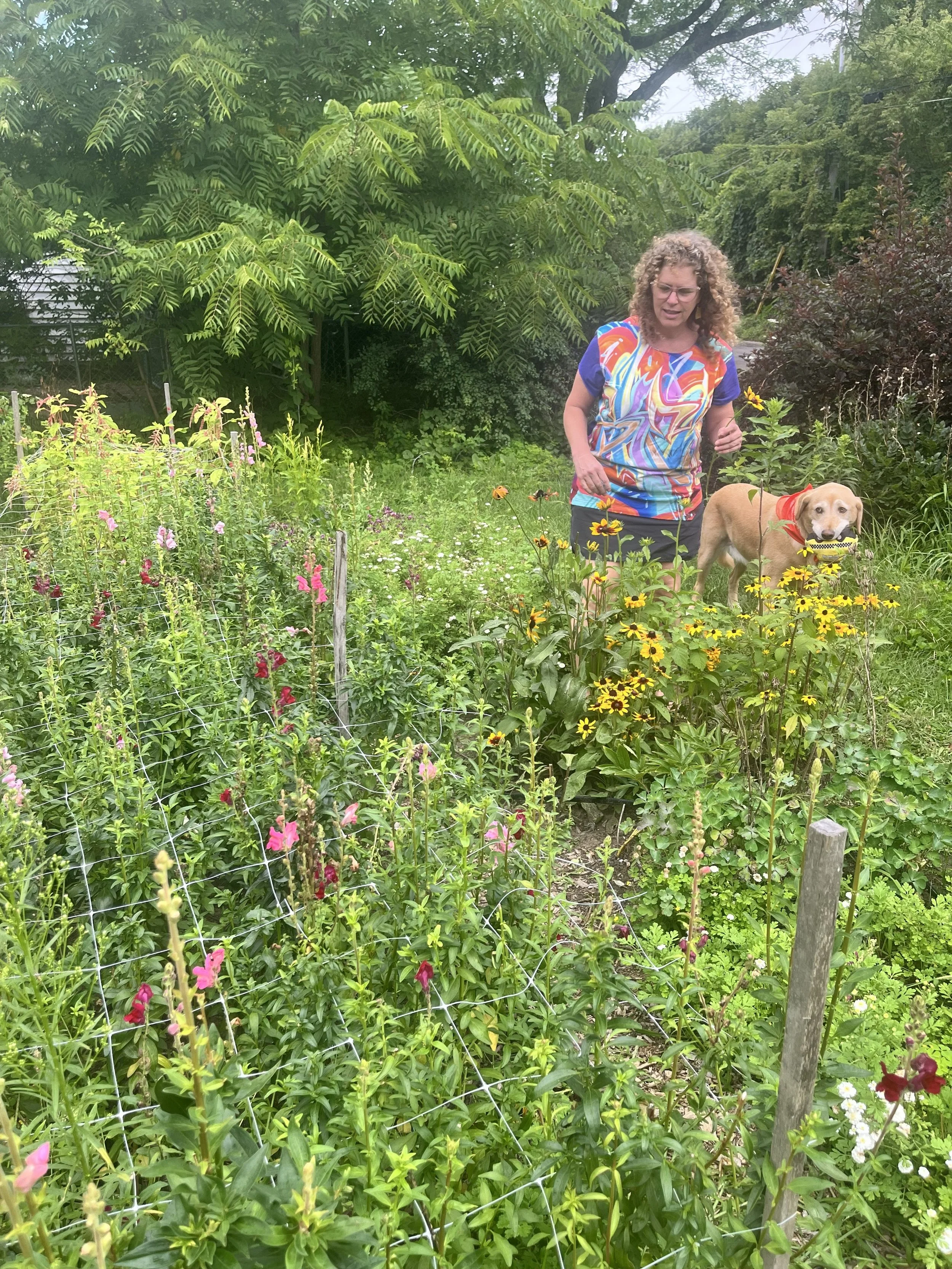 Rachel Siegel, a white woman with curly brown hair is in a flower gardern with her dog, a golden lab. Rachel is wearing a shirt with a bright pattern.