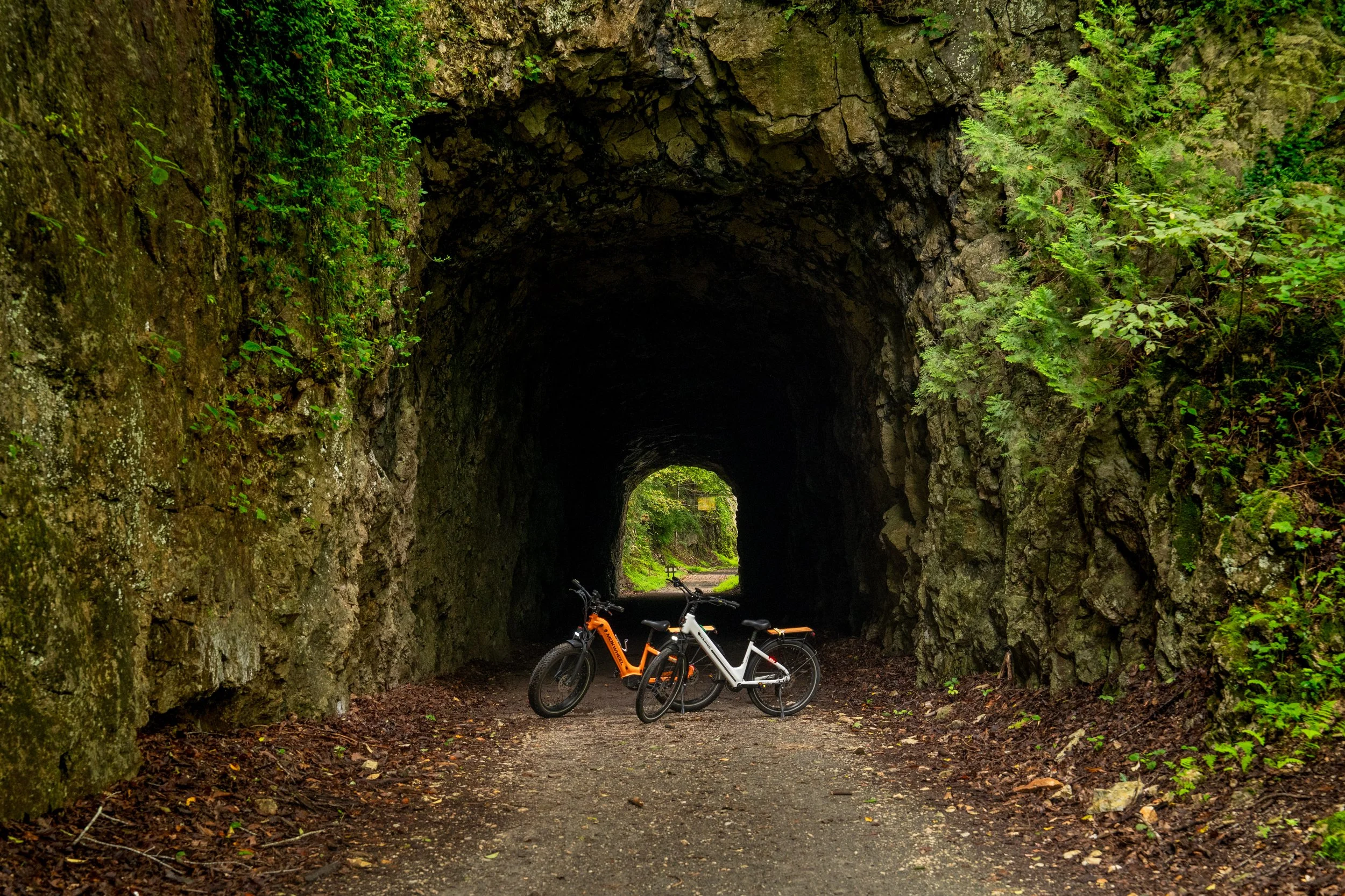 New River Trail State Park, VA-August-2.jpg
