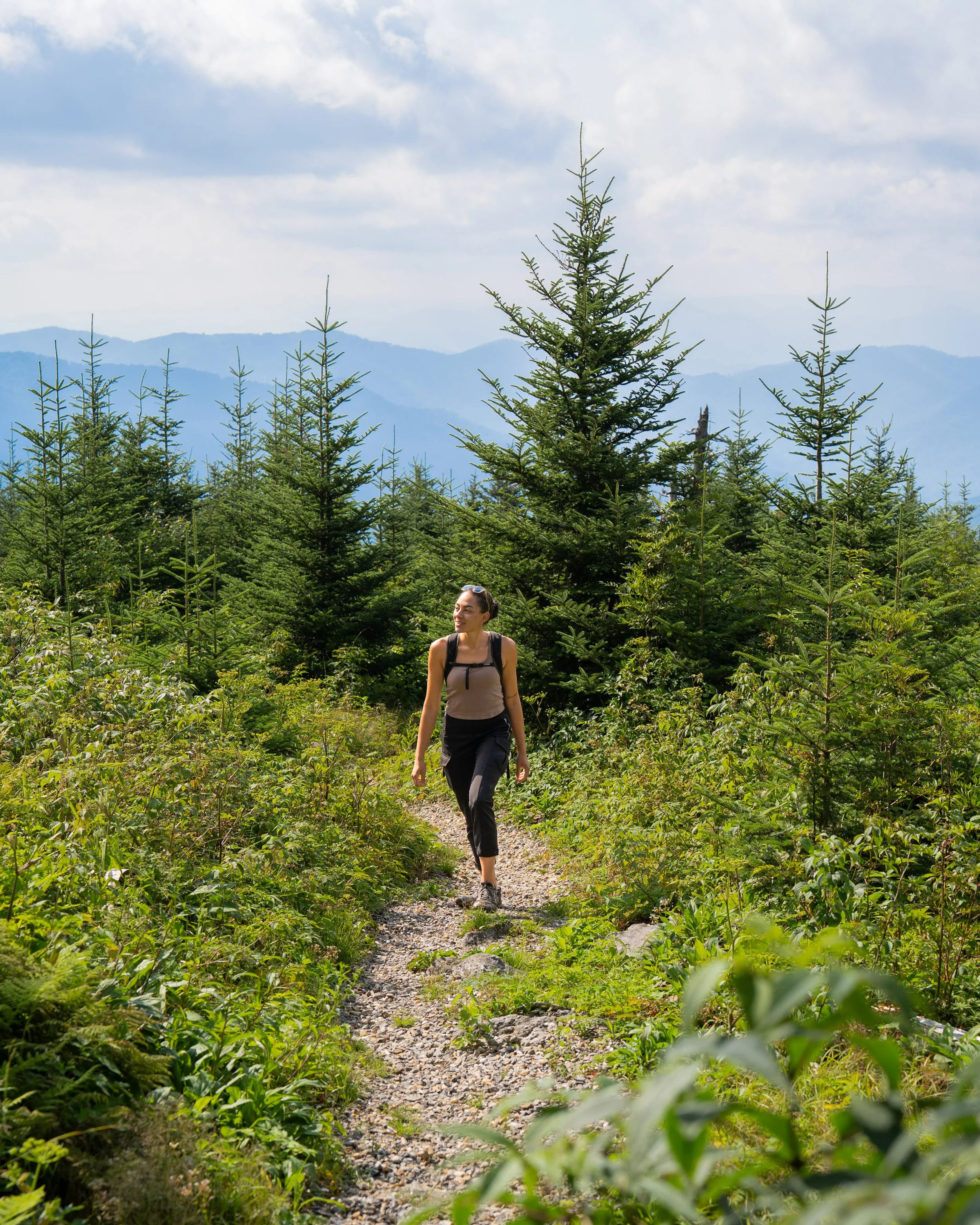 Mt Mitchell Photos-July03425.jpg