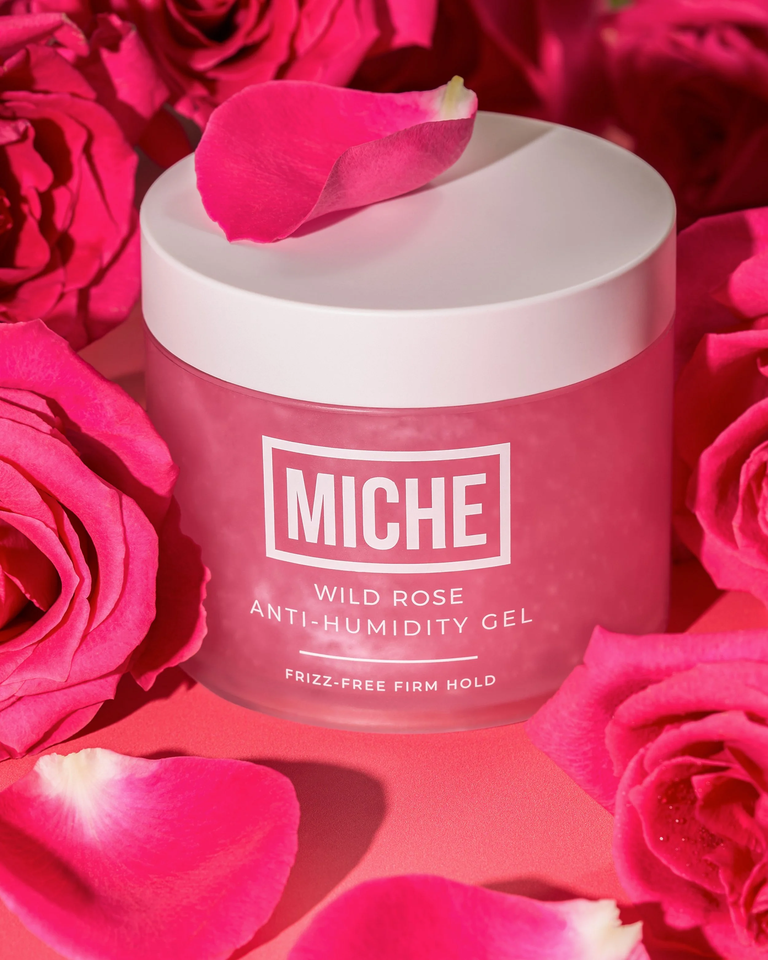 Wild Rose(2).jpg