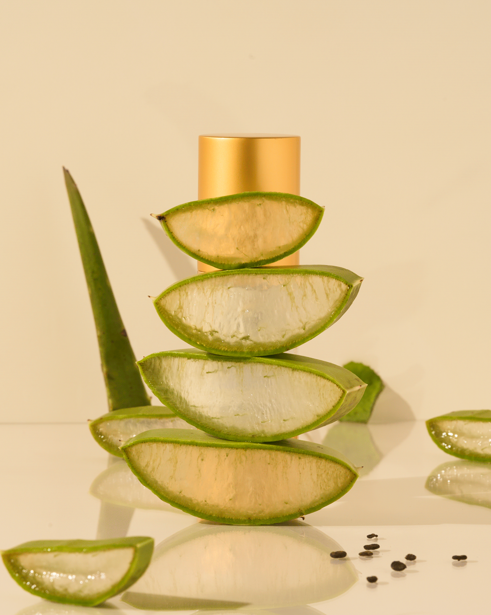 Stop-Motion-1-(Vertical-Crop).gif