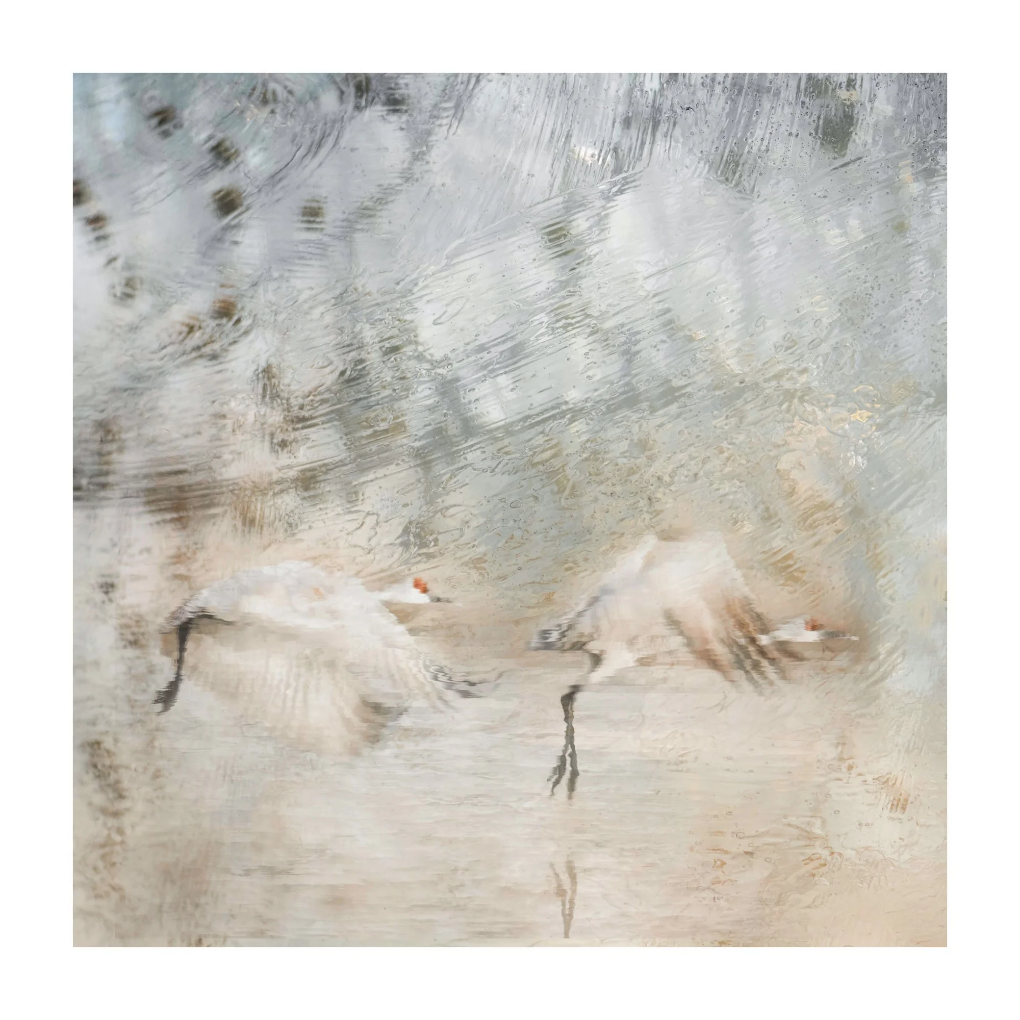 Ethereal Reflections: