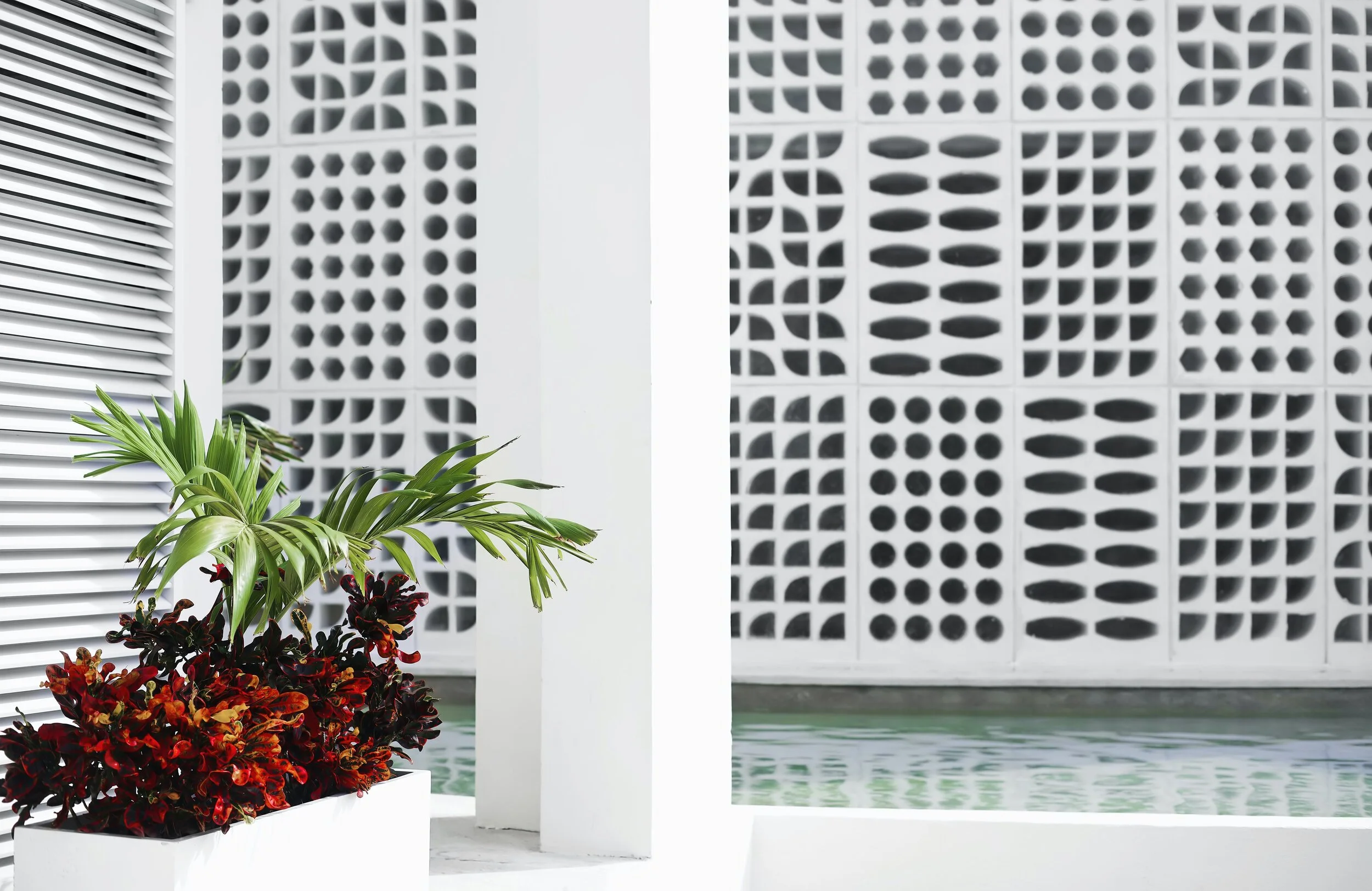 A modern outdoor patio features a white planter with a green leafy plant and maroon flowers, a white lattice wall, and a water feature with a white border.