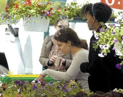Color photo as published on troyrecord.com: Samantha Zullo and Leah Carroll look at pansies at the Troy Waterfront Farmers’ Market on River Street, May 5, 2012. Photo by Jeff Couch, The Record.