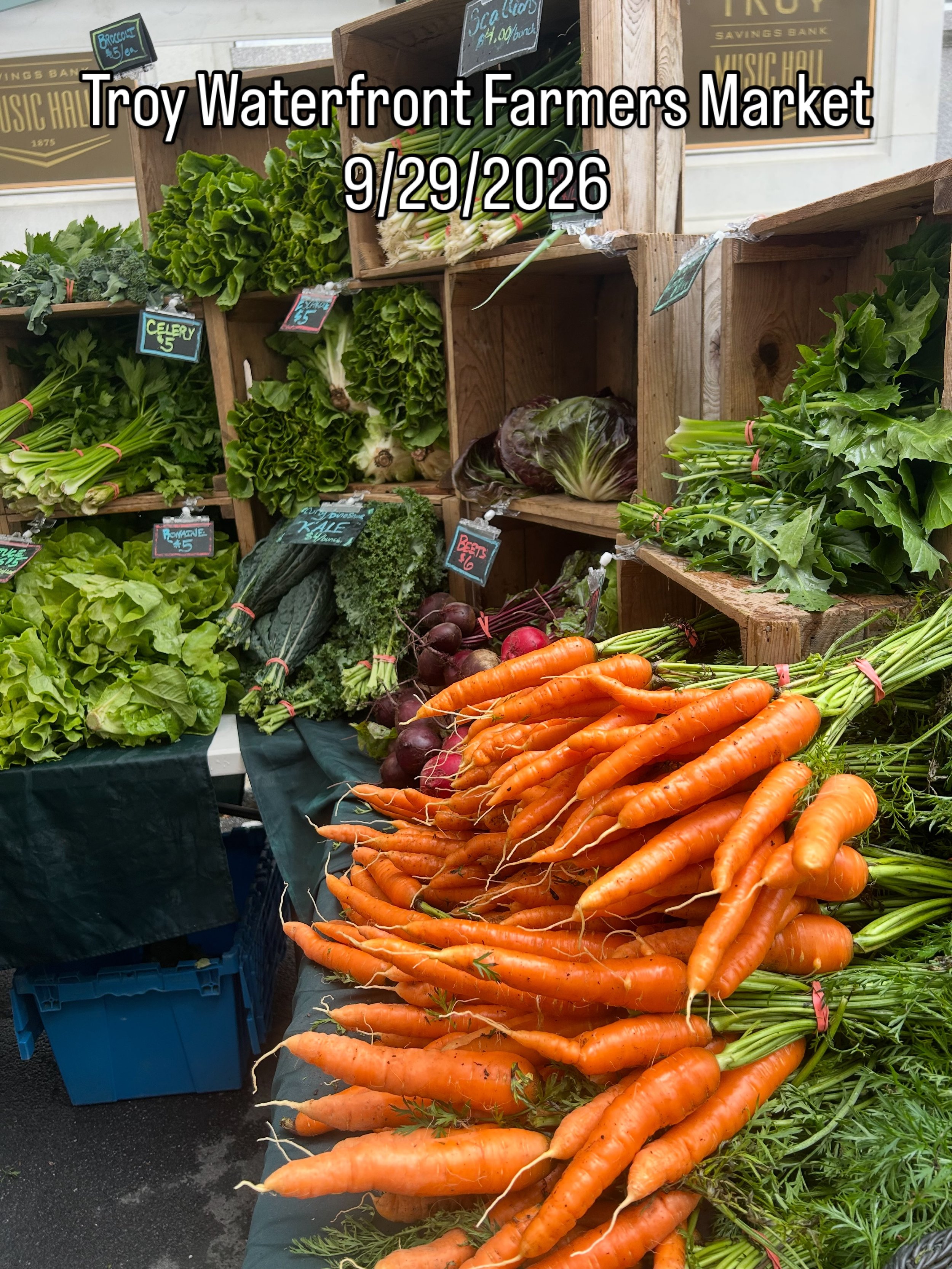 Come on down!!! Most of the region is being hammered by a rare fall storm but here in Troy we are right on the edge. The farmers are out in force with a great fall bounty!