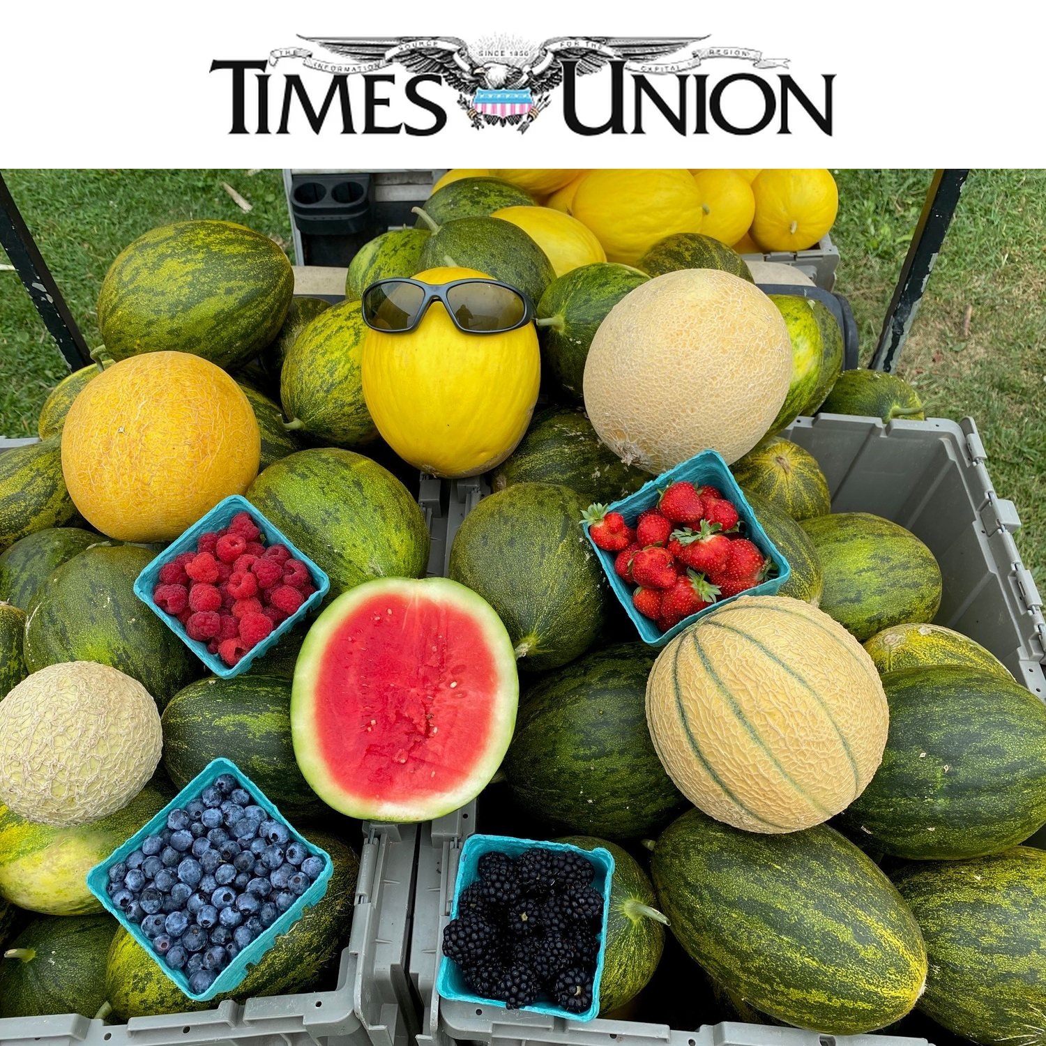 Farmers market Q&amp;A: Berries with no sides of pesticides (Times Union)