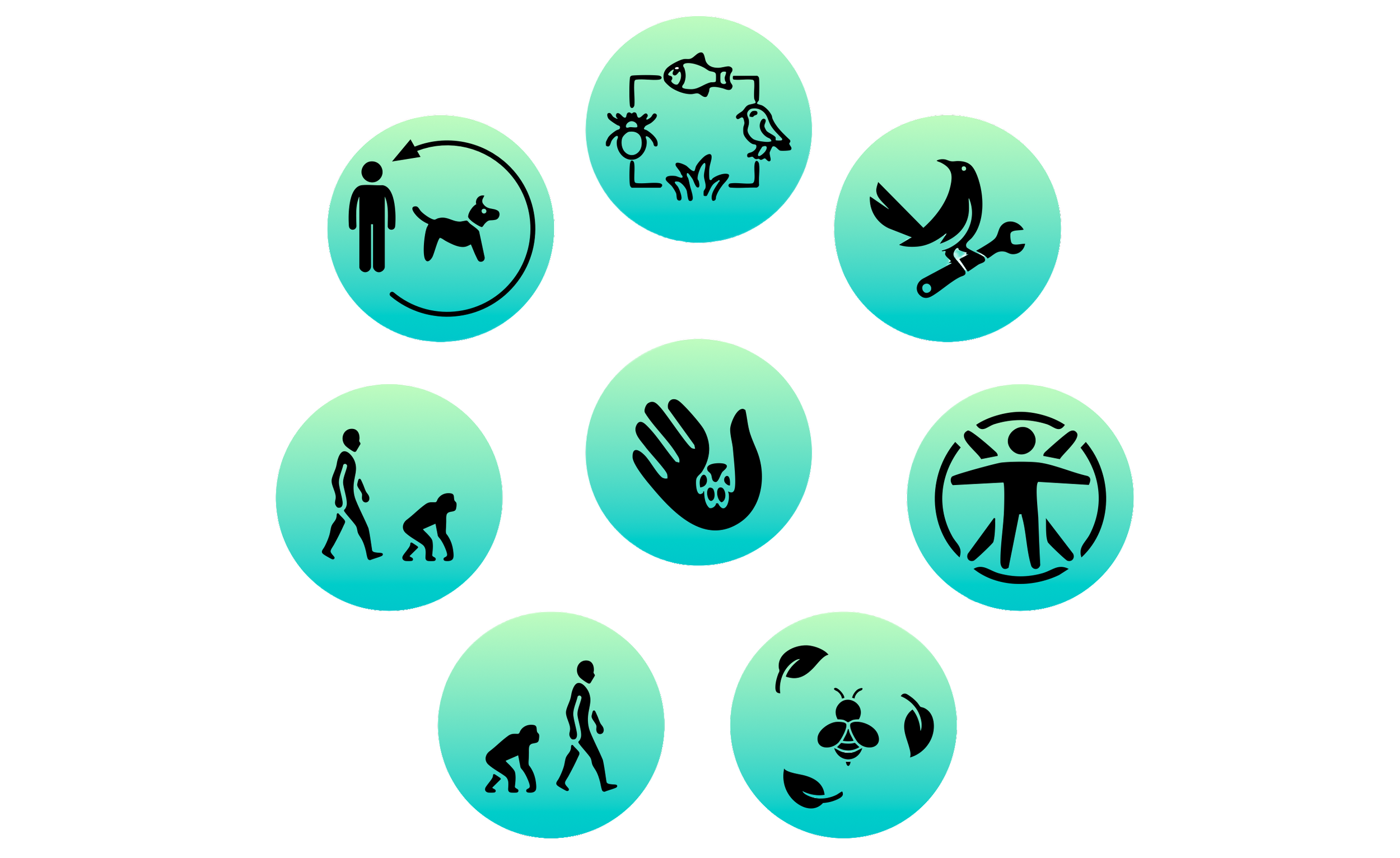 Animals' Entanglement with Technology: a Scoping Review