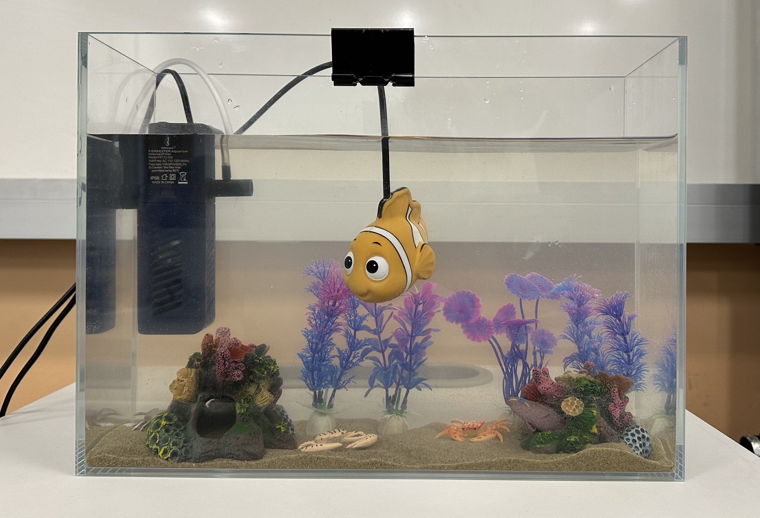 Listening with the Fishes: Aquatic Audio Interfaces to Experience Acoustic Underwater Worlds