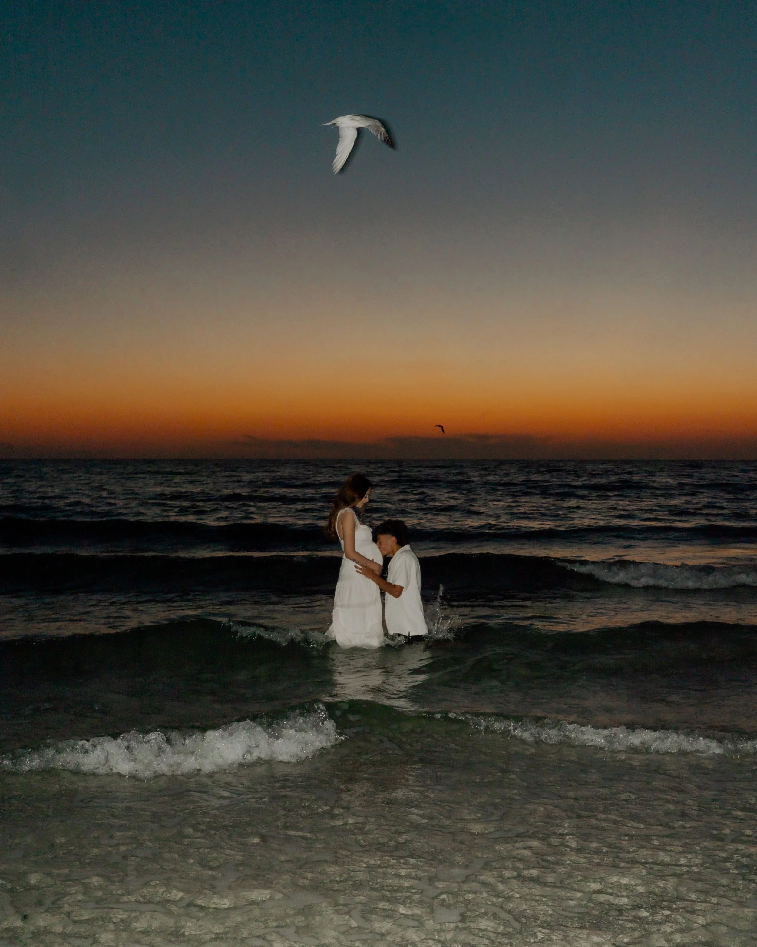 sarasota-photographer-5.jpg