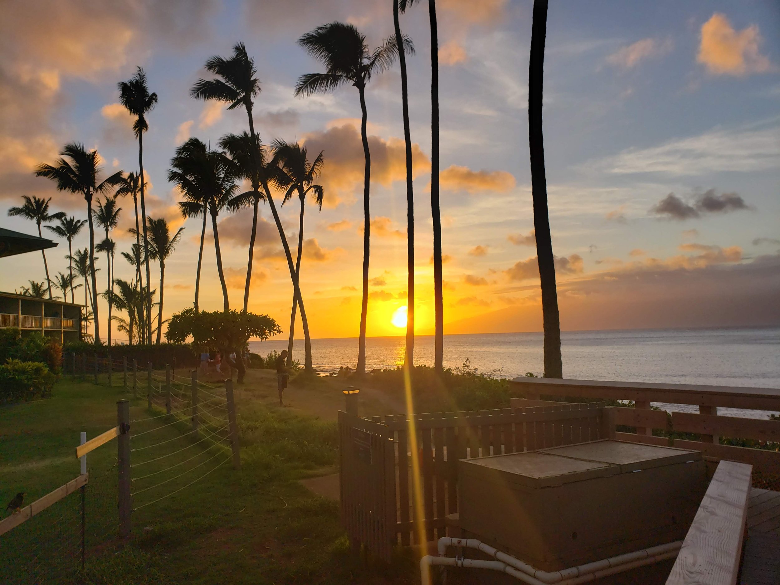 Sunset over a beach with palm trees, some clouds in the sky, and outdoor seating area with fencing and structures.