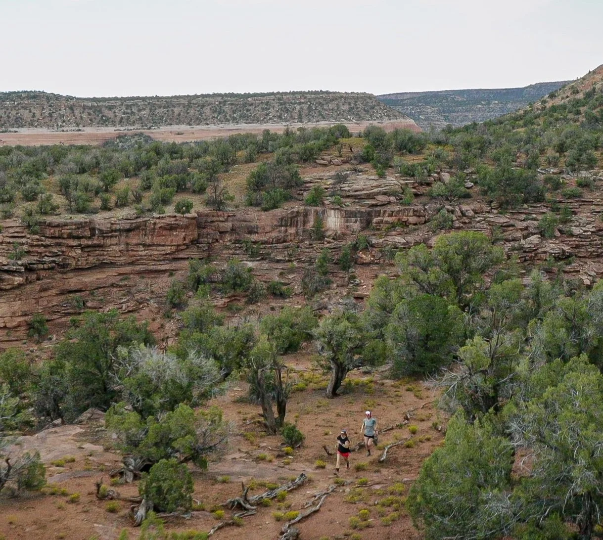 DJI_0739.jpg