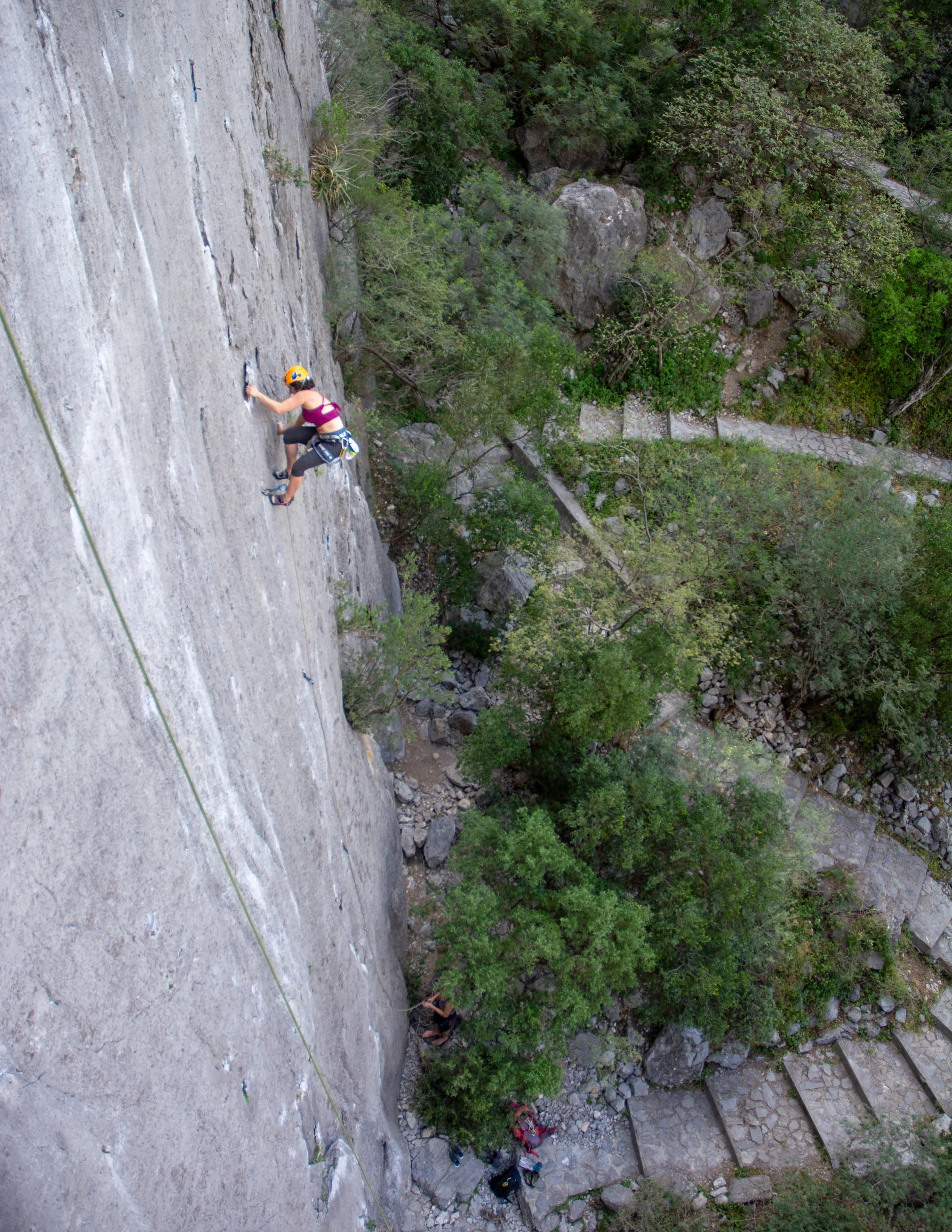 Rock climber ascending a vertical cliff face, surrounded by trees and rocky terrain, wearing a helmet and harness. A path with stone steps visible below.