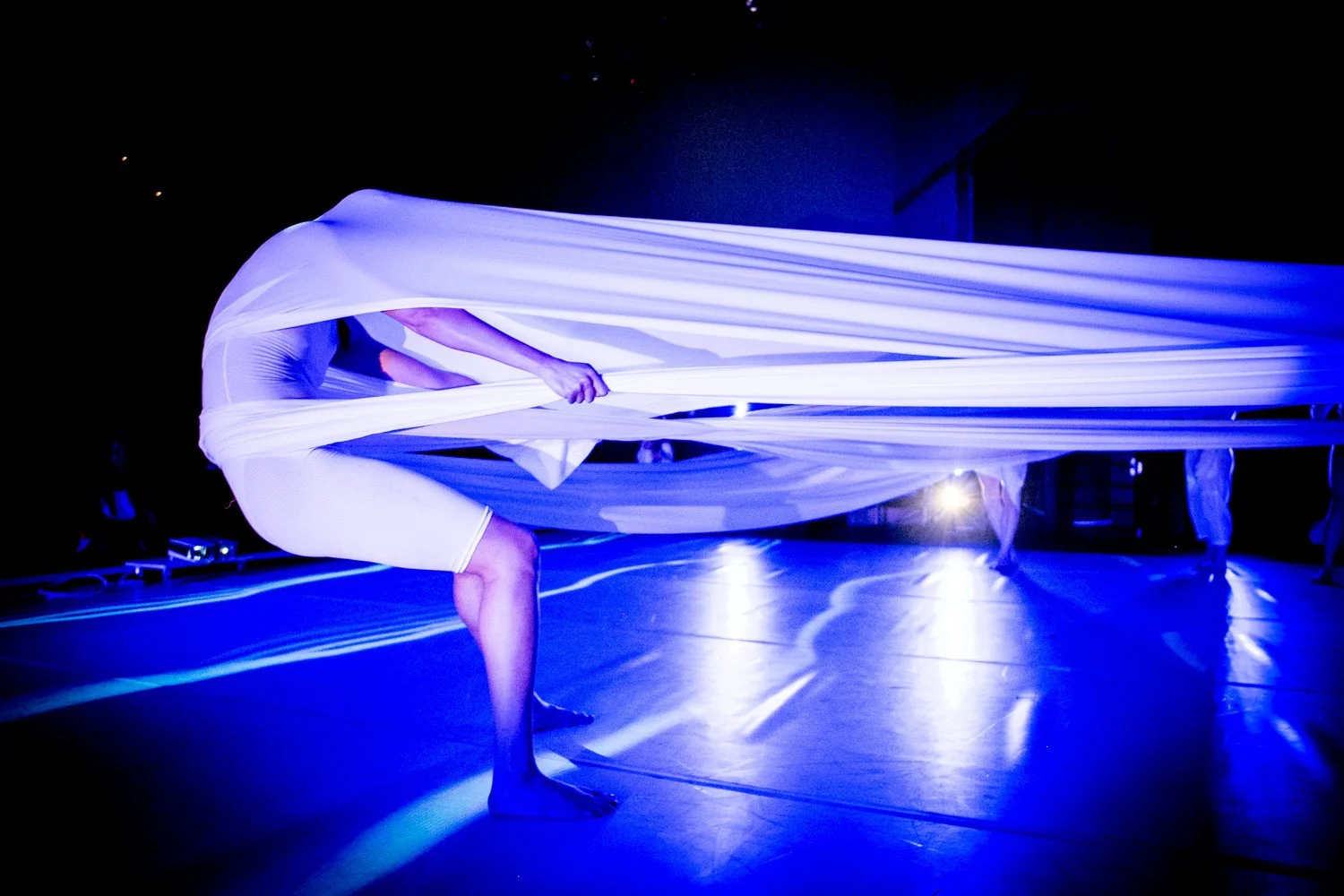 LACDC_FAM_photographer Taso Papadakis_0170.JPG