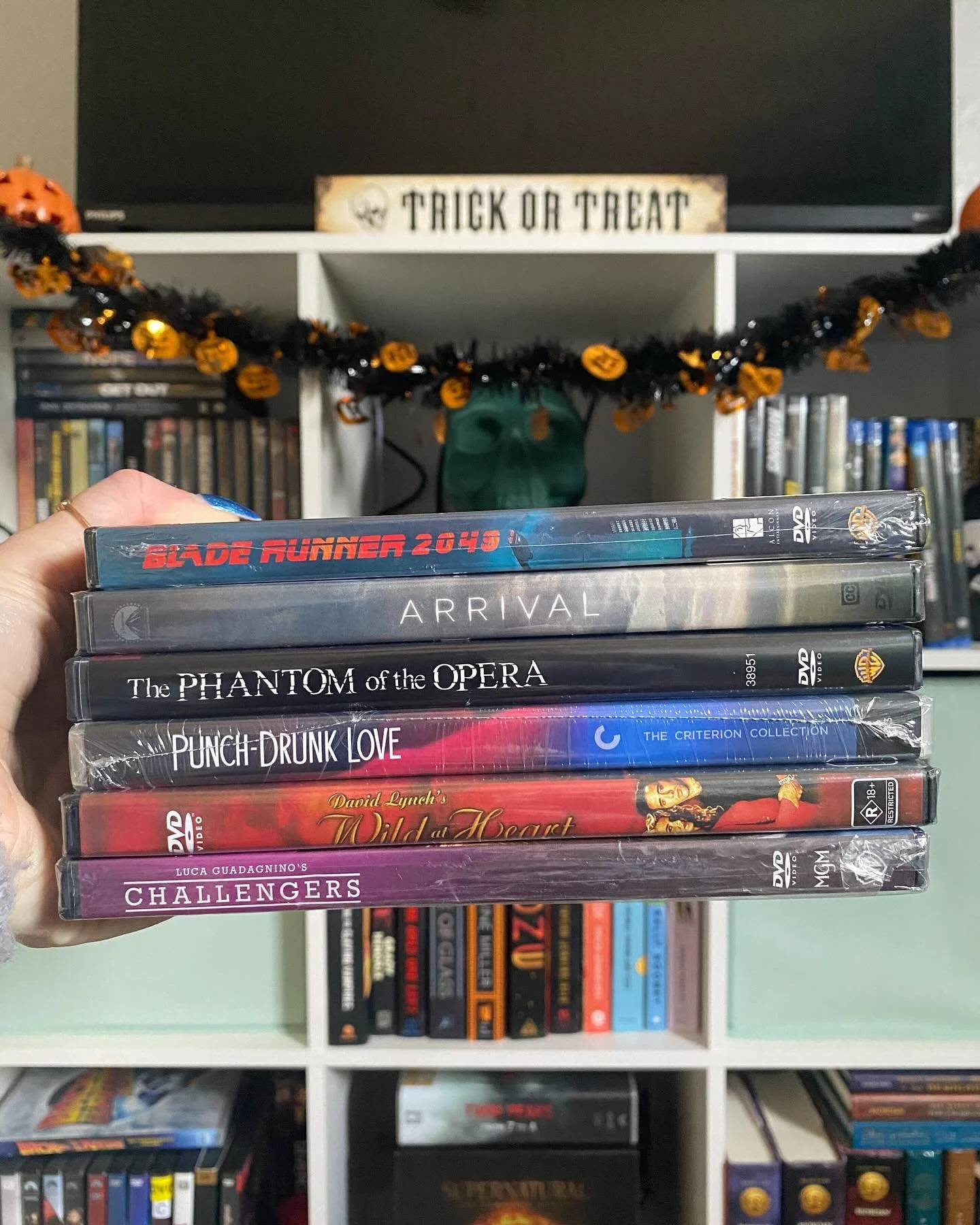 a little physical media haul because any haul that includes David Lynch, Paul Thomas Anderson, Luca Guadagnino, Denis Villeneuve, AND The Phantom of the Opera is a good haul 👏🏼

what movies have you picked up recently?!

#physicalmedia #physicalmed