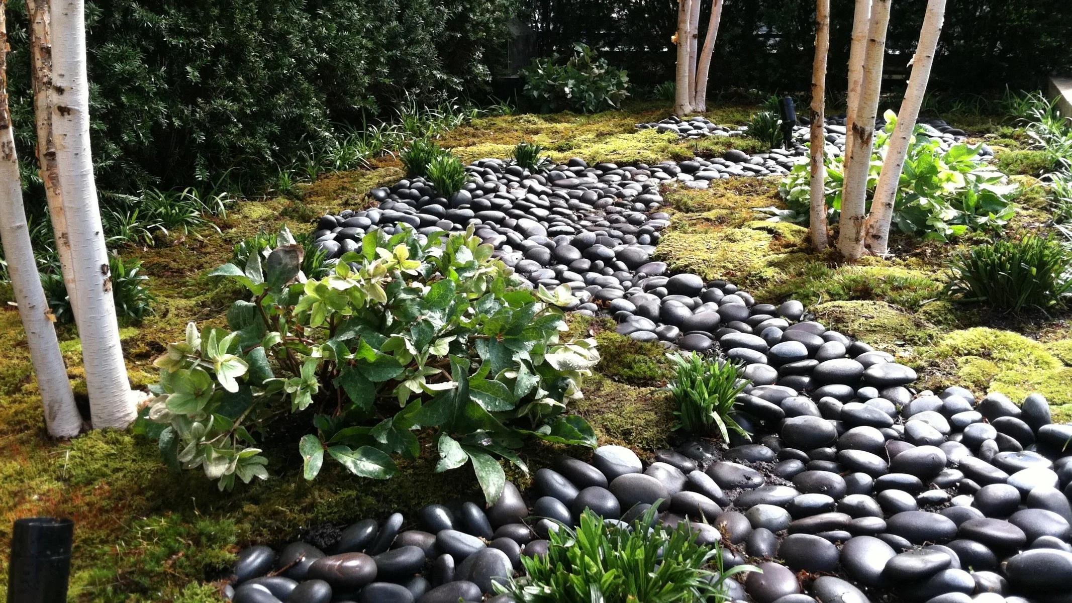 CARY-OWEN-YORK-GARDENS_107.jpg