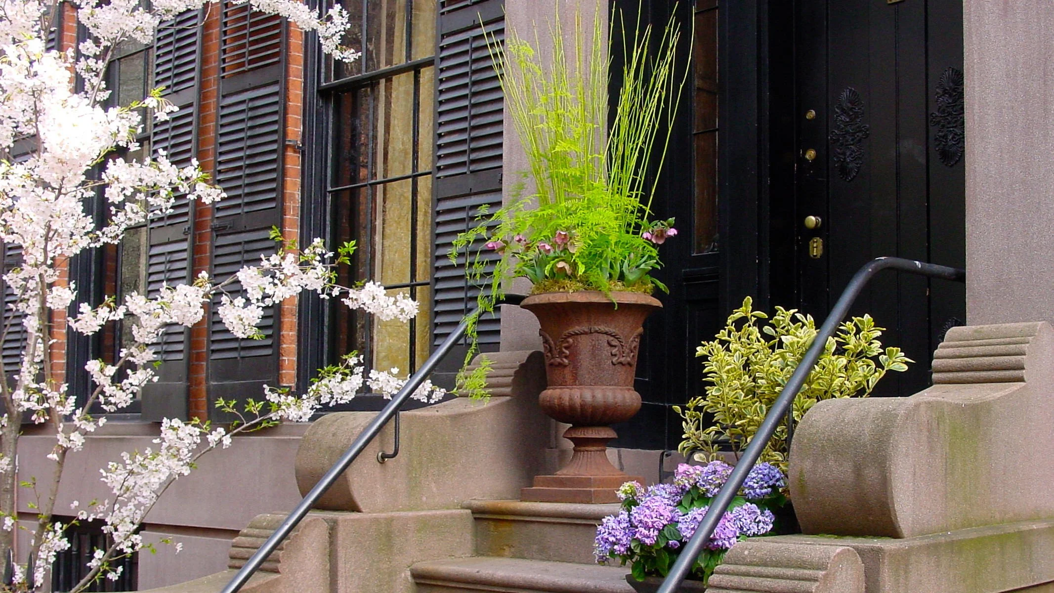 CARY-OWEN-YORK-GARDENS_109.jpg