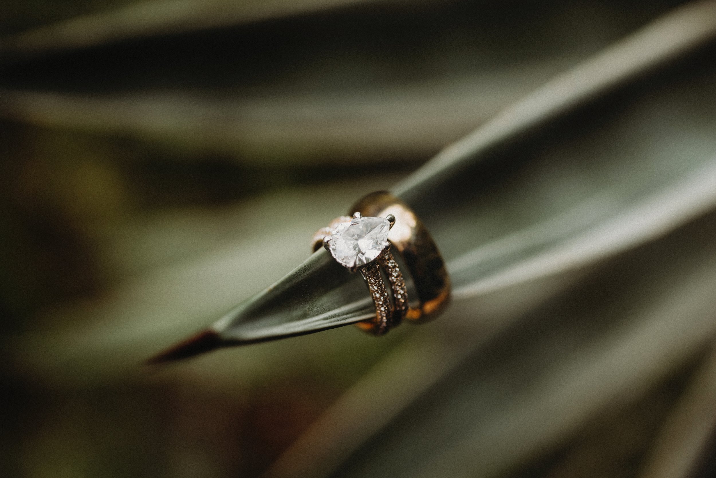 Wedding Photographer in Pasadena, CA