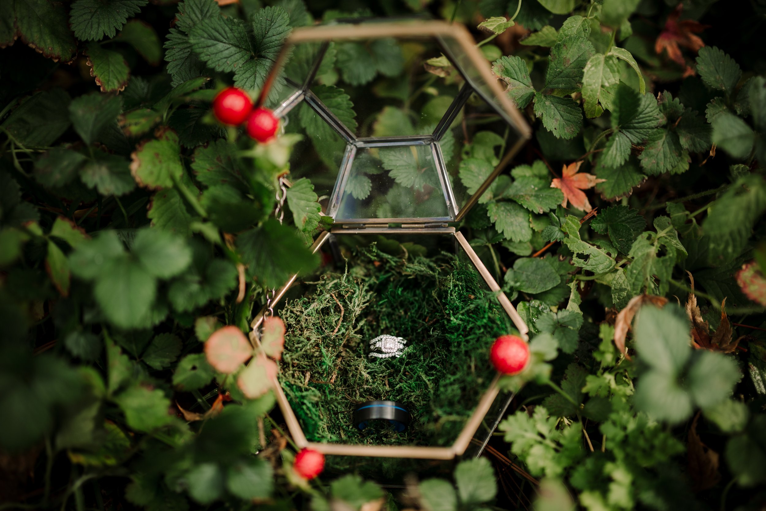 Elopement Photographer in Pasadena, CA