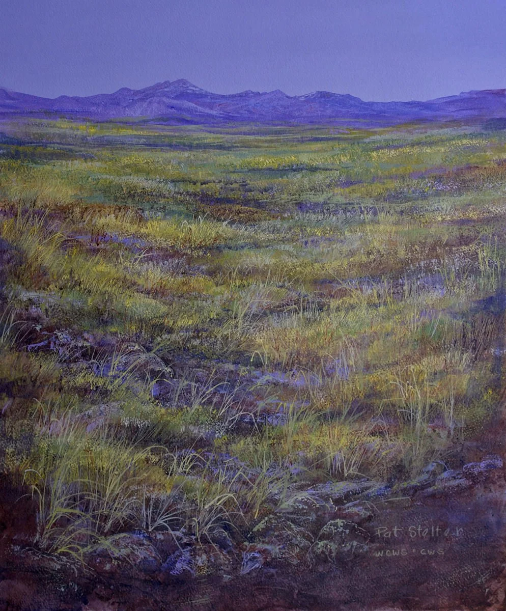 Pat Stigen Pat Stelter — Blue Pig Gallery