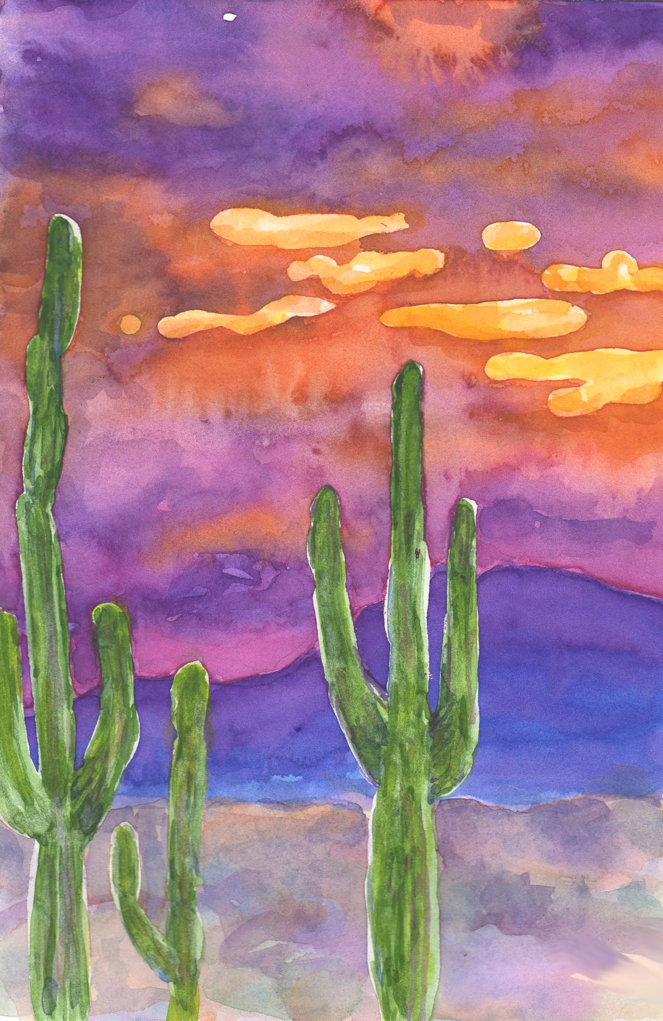 Gail Austin desert sunset 1.jpg