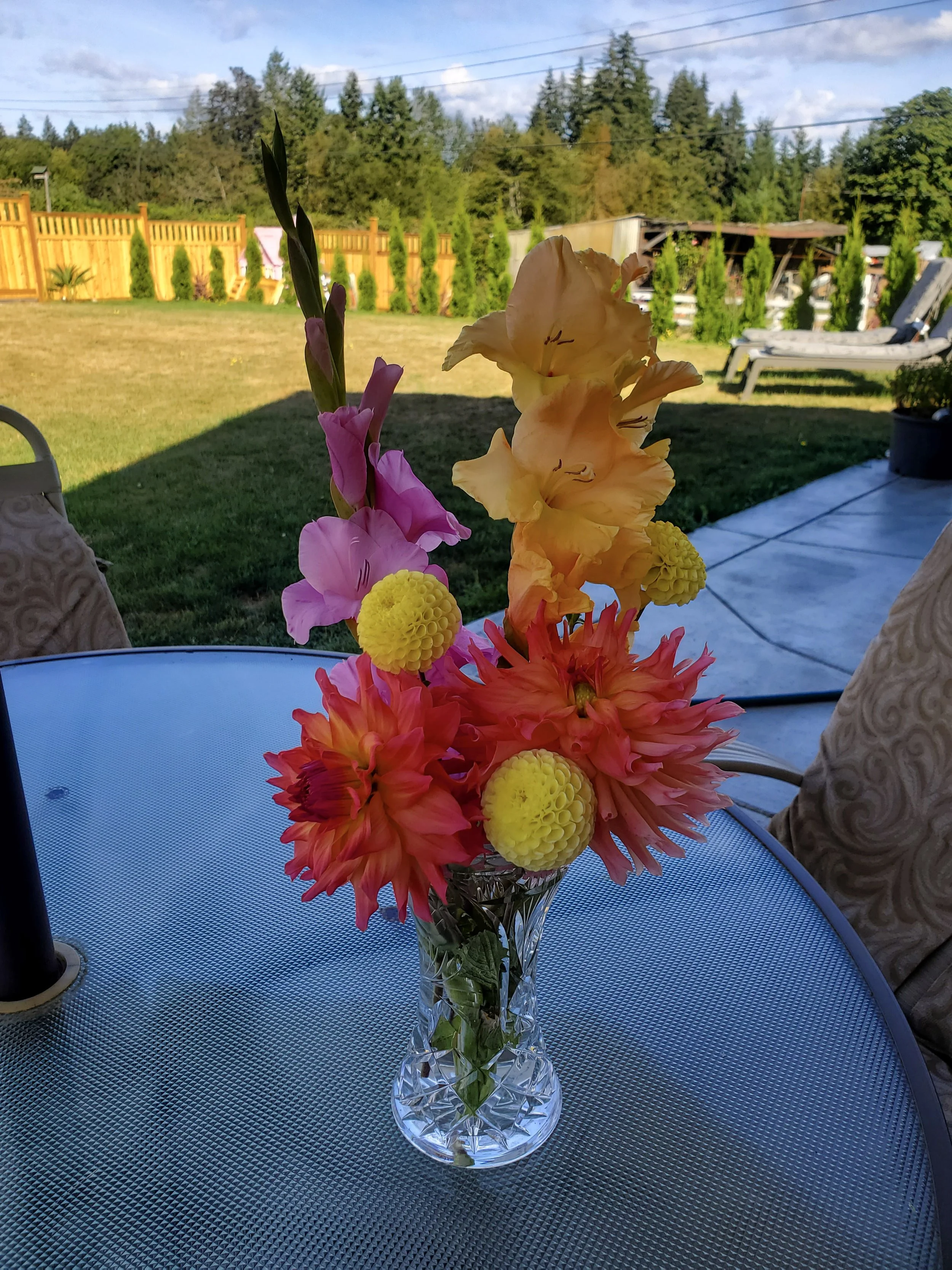20220827_101734.jpg
