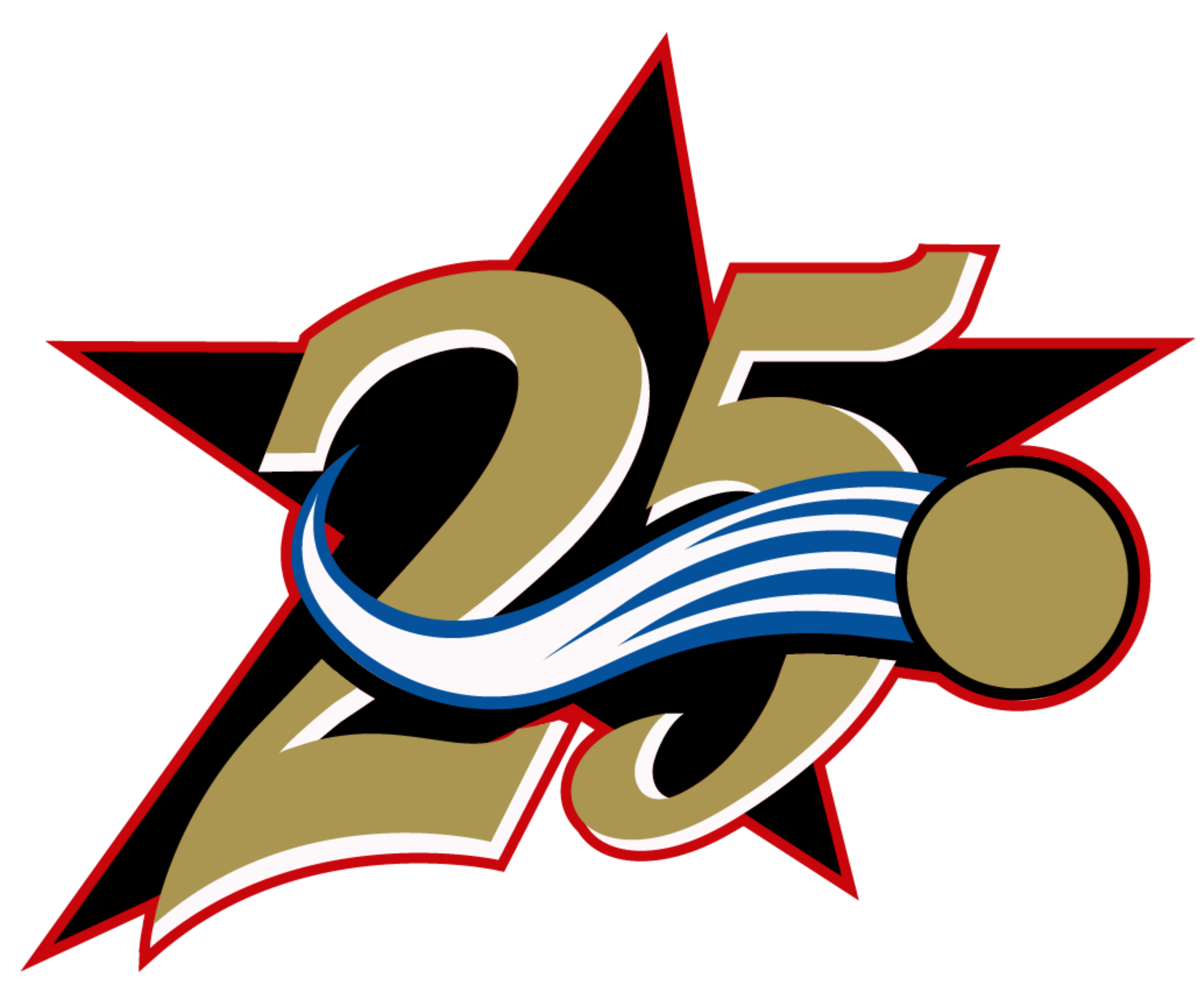 TSJ 25 - Black Star 25 x No Background.png