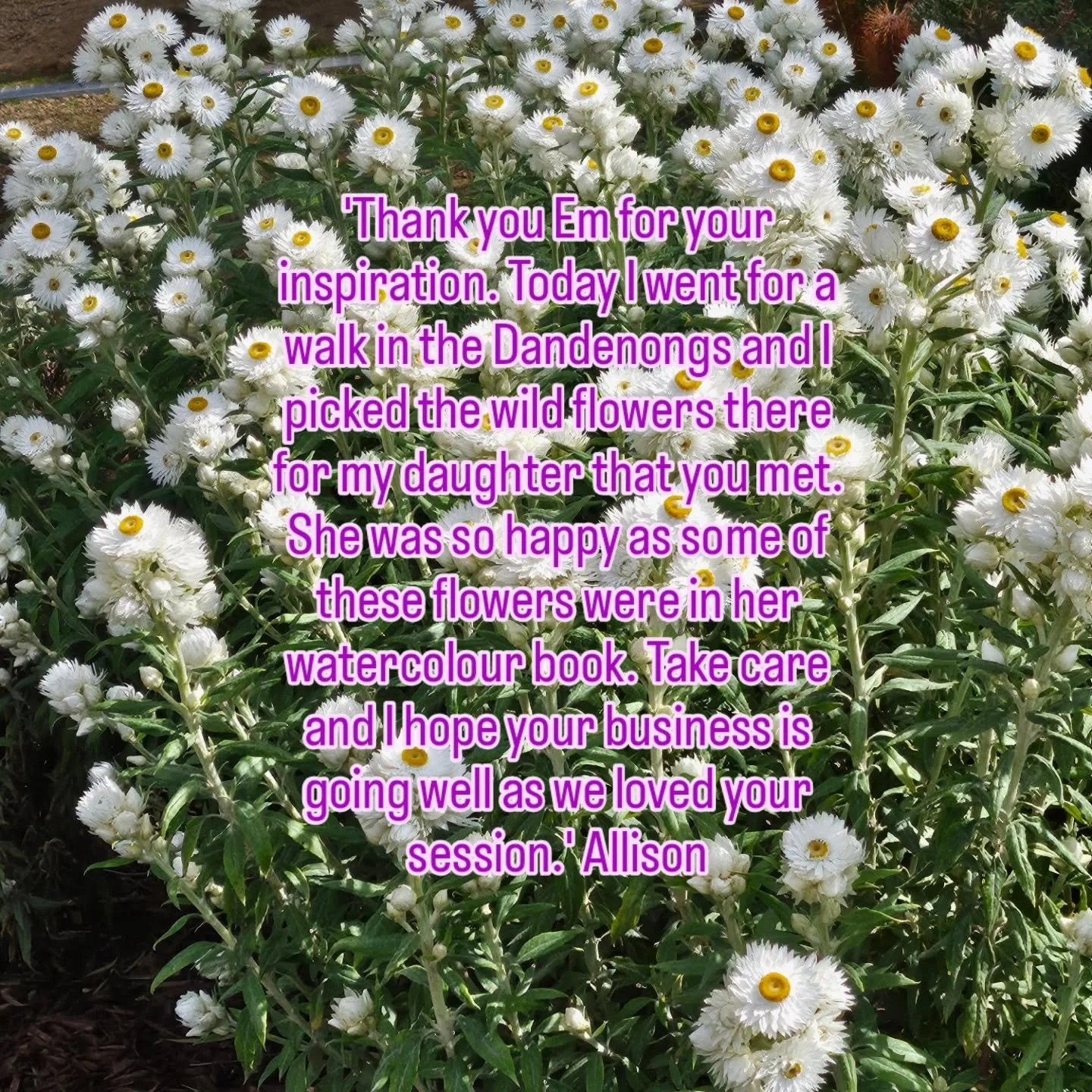 A beautiful message from a workshop participant from earlier in the year, letting me know about their mindful walk amongst the wildflowers ❤️ 

Thank you for taking the time to remind me of my gentle positive impact Allison, it means a lot. 🙏