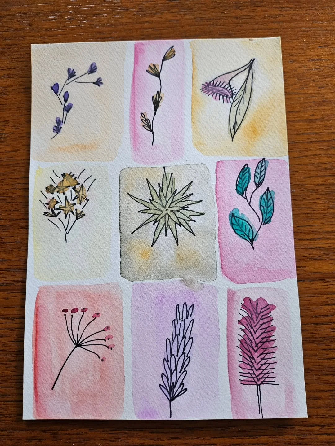 Some sketches inspired by a local walk + collect + create. A simple way to reset and use creativity for calm.