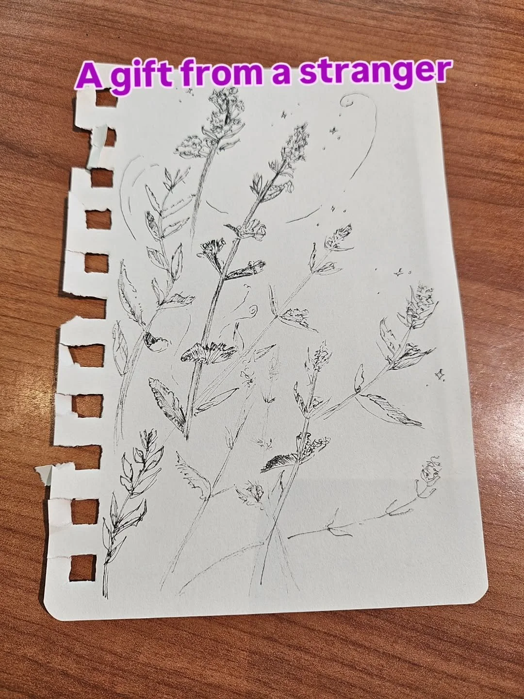 I ❤️ that I still give off the vibe that a drawing is my perfect gift. Today a customer gave me a sketch when I was working at the Gardens. 

✏️This used to happen all the time when teaching kids art, I have a drawer filled with gifted drawings, but 