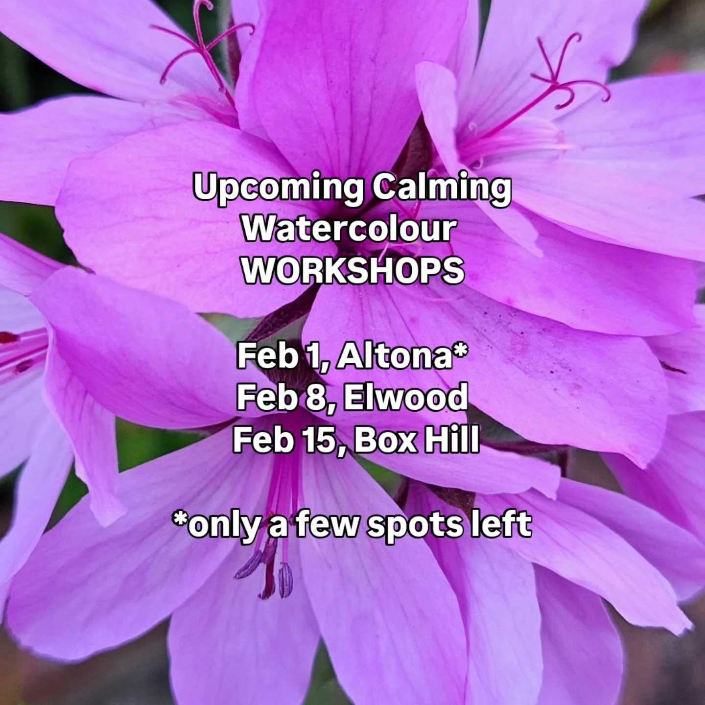 Upcoming Calming Watercolour Workshops
Sunday Afternoons 3pm to 5pm

🖌 Feb 1, Altona*
🖌 Feb 8, Elwood
🖌 Feb 15, Box Hill
📍 Melbourne

*only a few spots left

Reserve your place via booking link in bio
www.empowermooreart.com/workshops

Hope to se